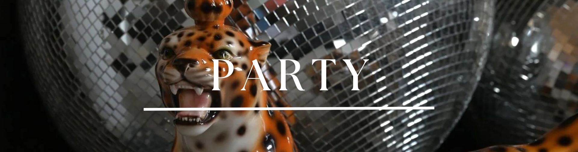 party accessories category