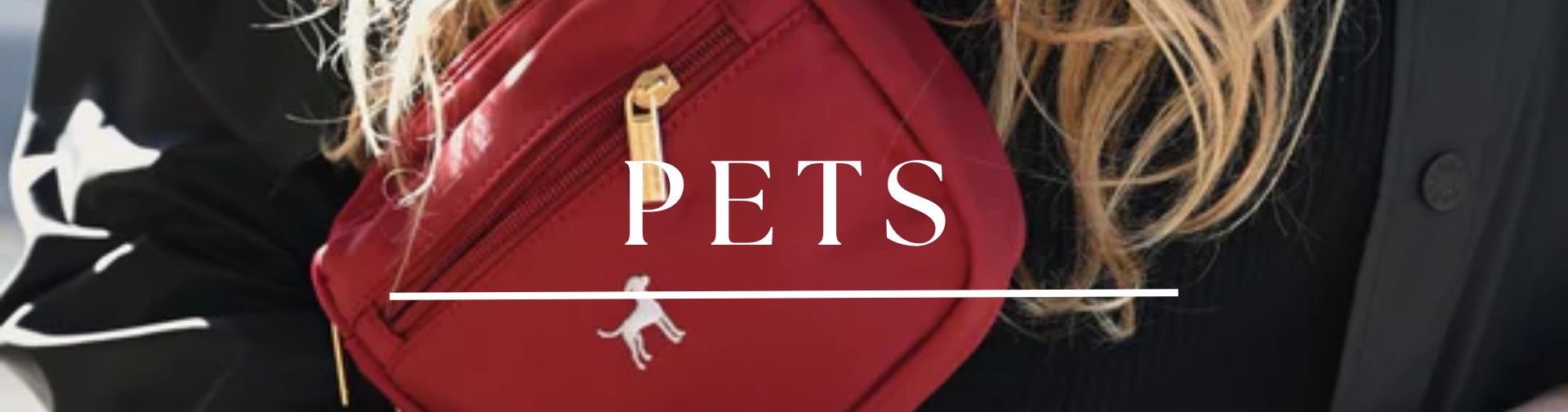 pet accessories category