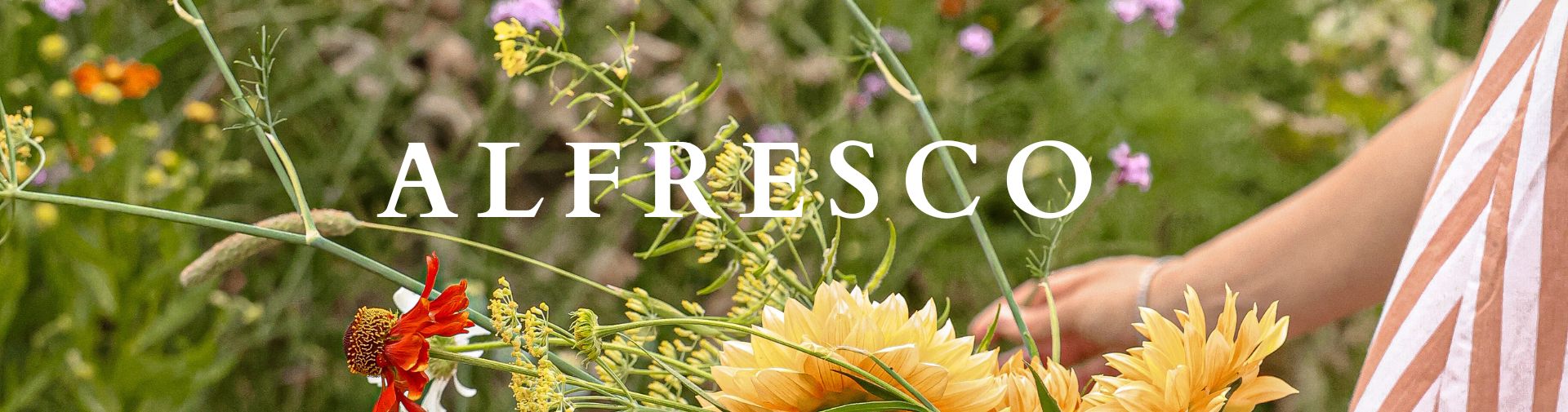 The Alfresco Collection