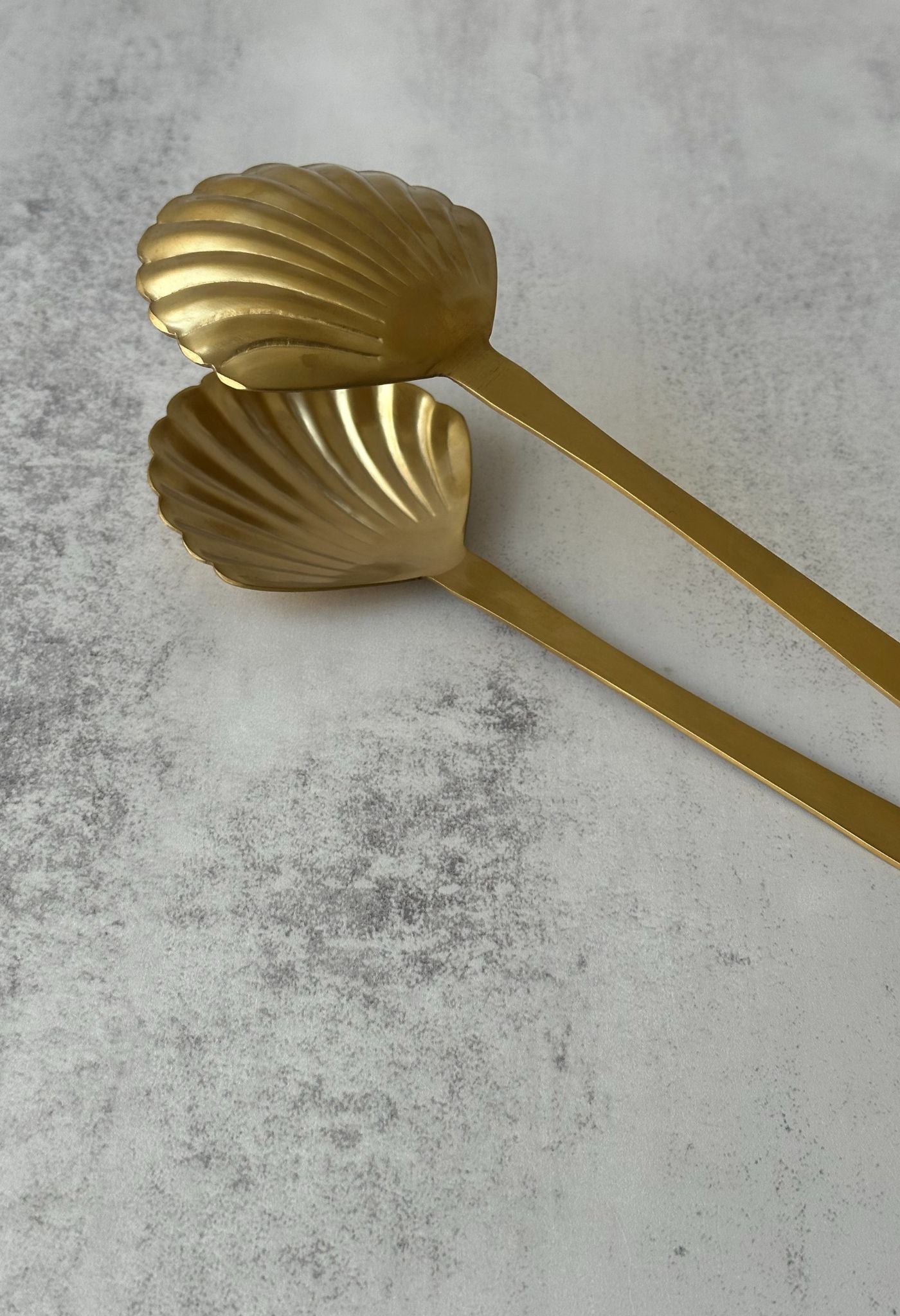 Pince à coquillages dorés