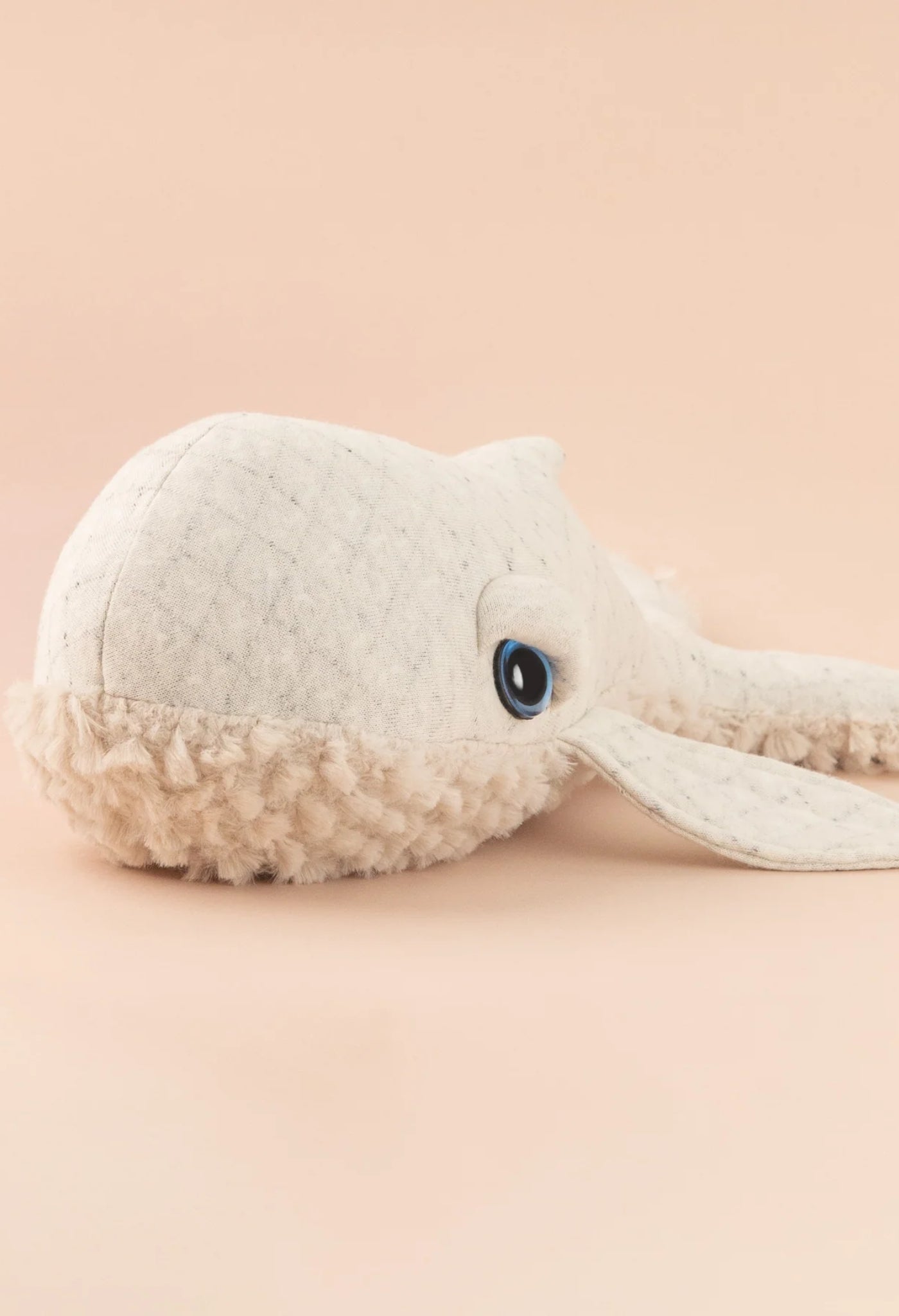 Mini baleine albinos