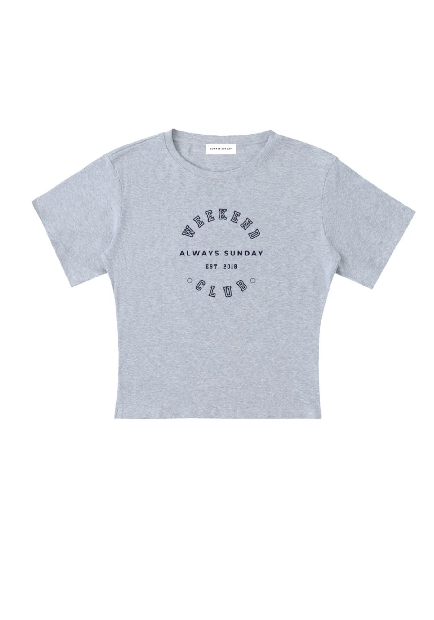Gray t-shirt with text on a white background