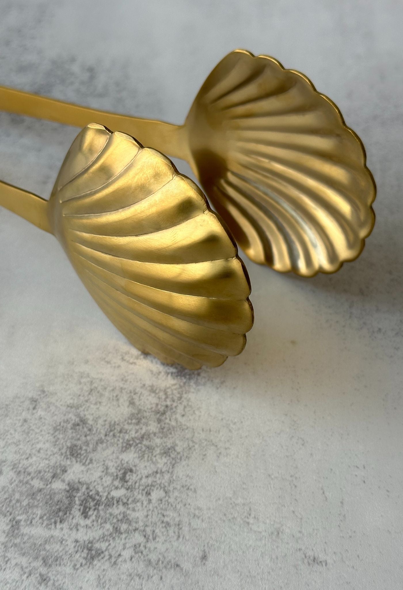 Pince à coquillages dorés
