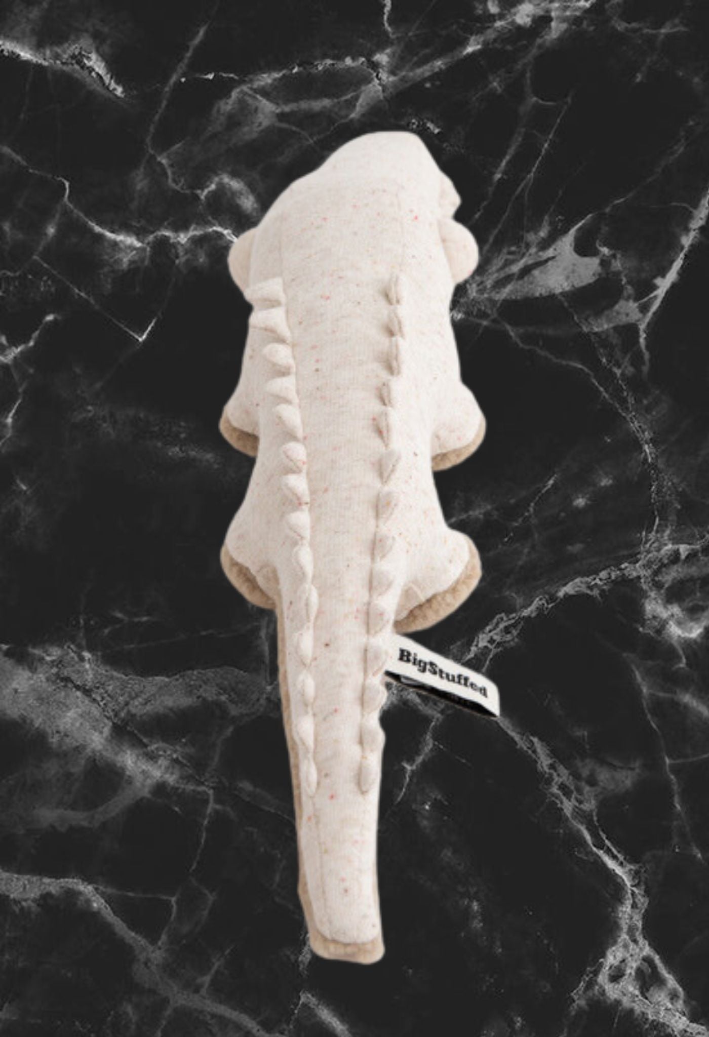 Mini crocodile albinos