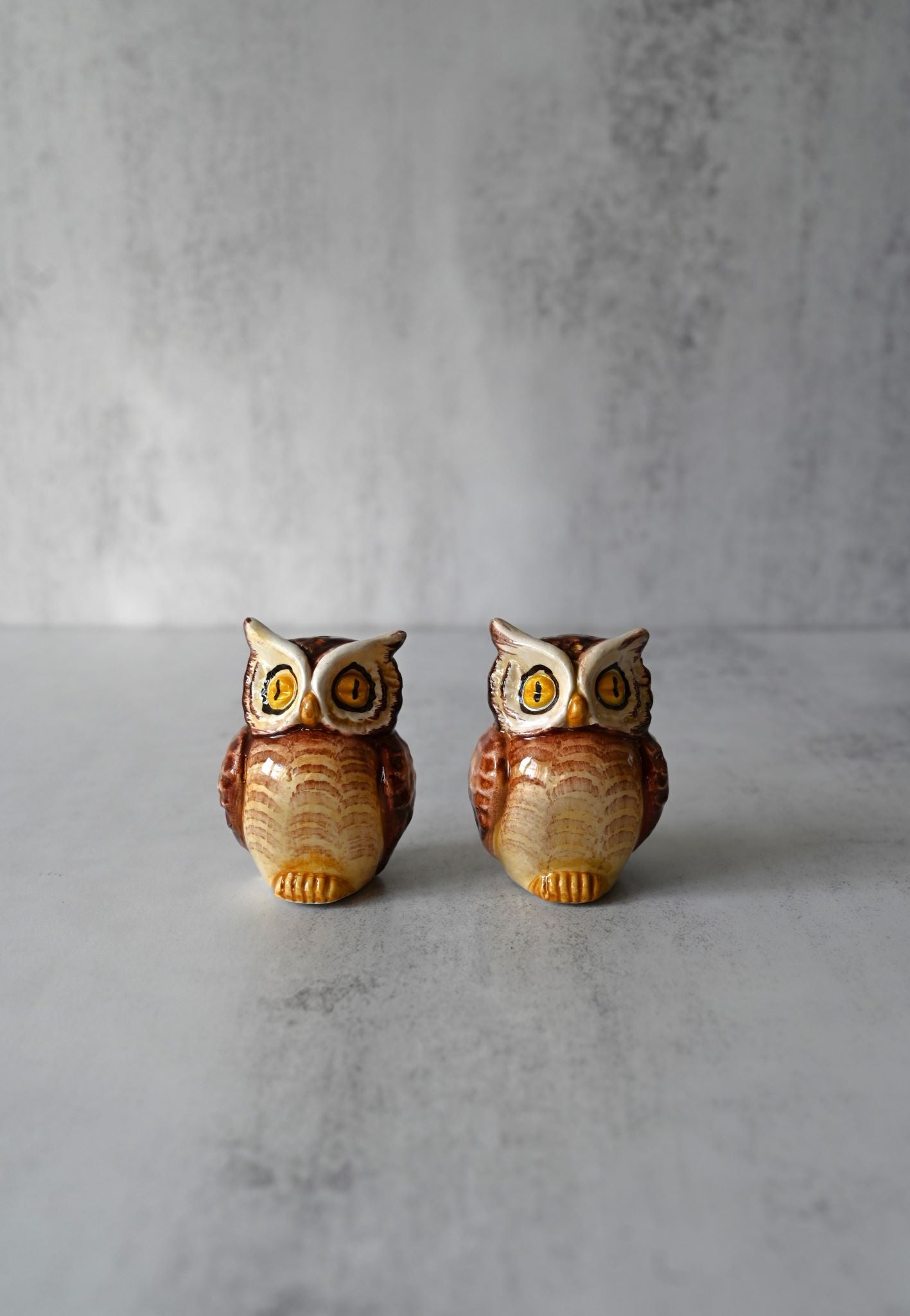 Glossy ceramic owl salt and pepper shakers with detailed brown feather painting.