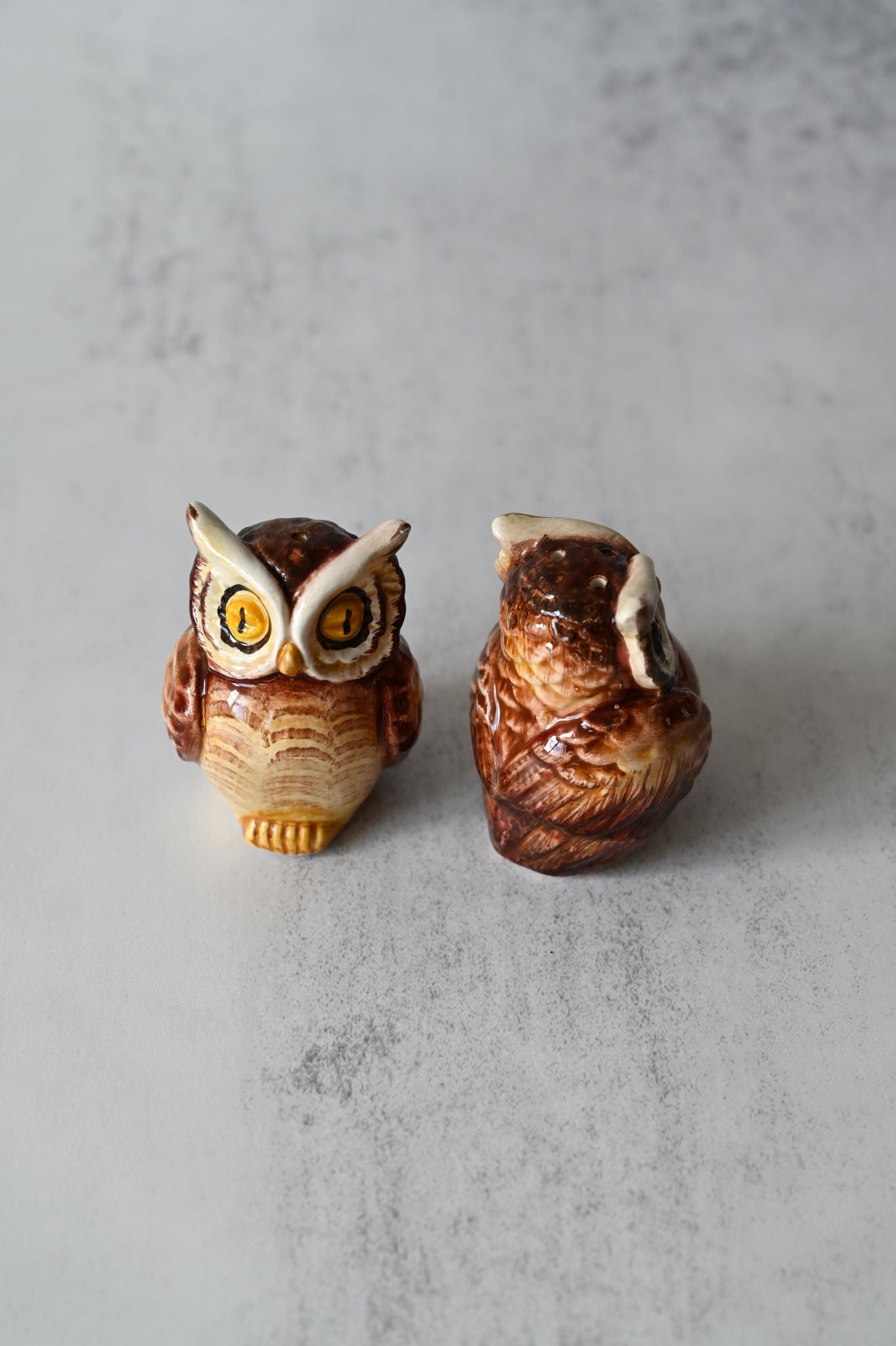 Hand-painted Owl Salt and Pepper Set