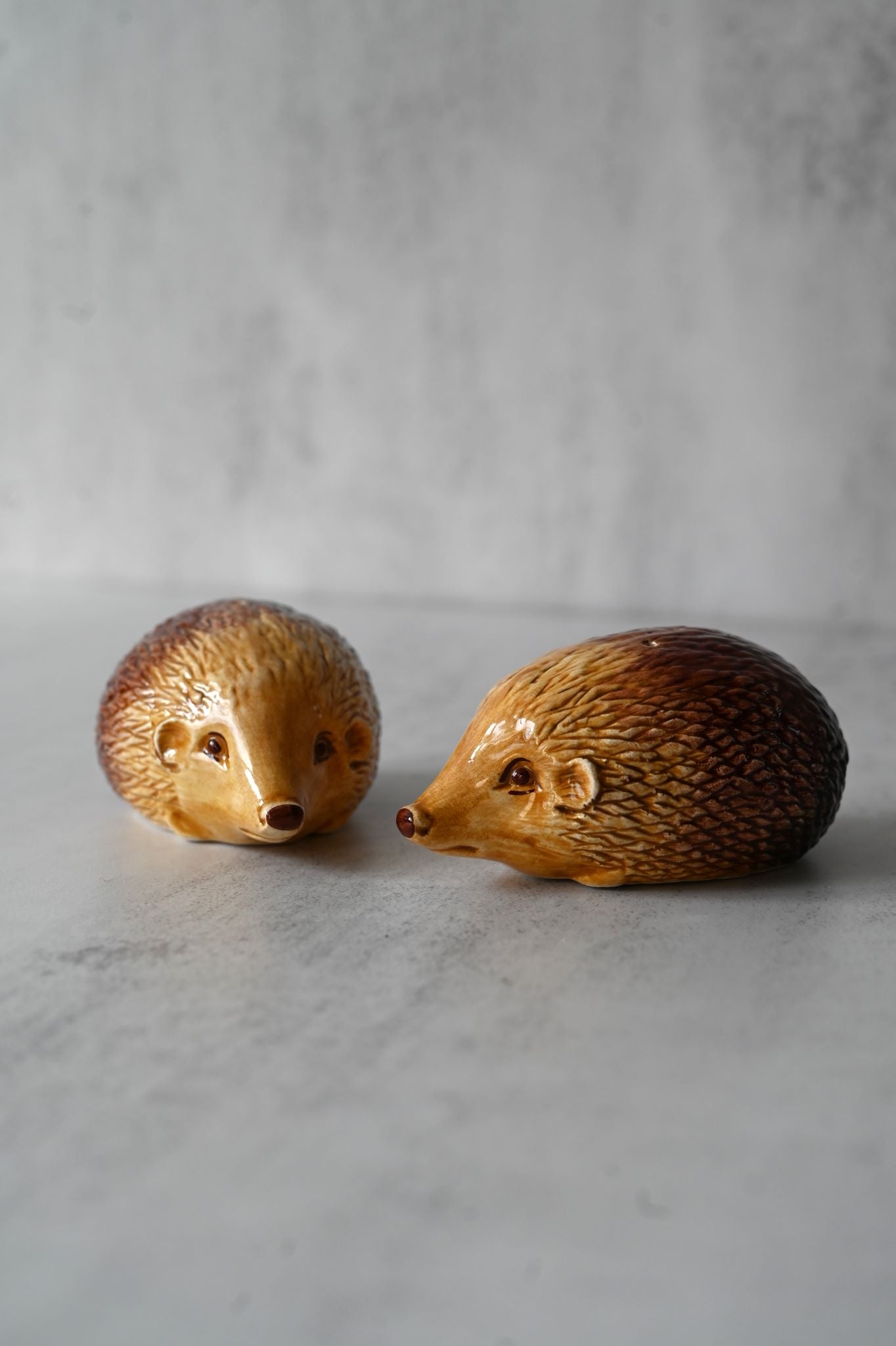 Hand-painted Hedgehog Salt and Pepper Set