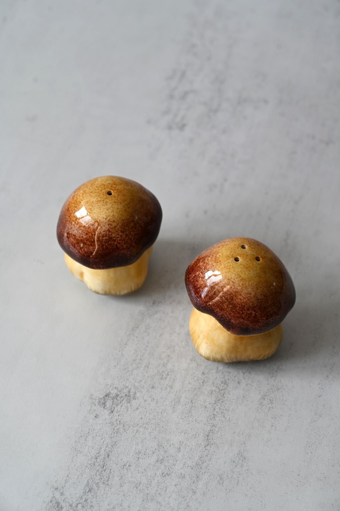 Hand-painted Mushroom Salt and Pepper Set