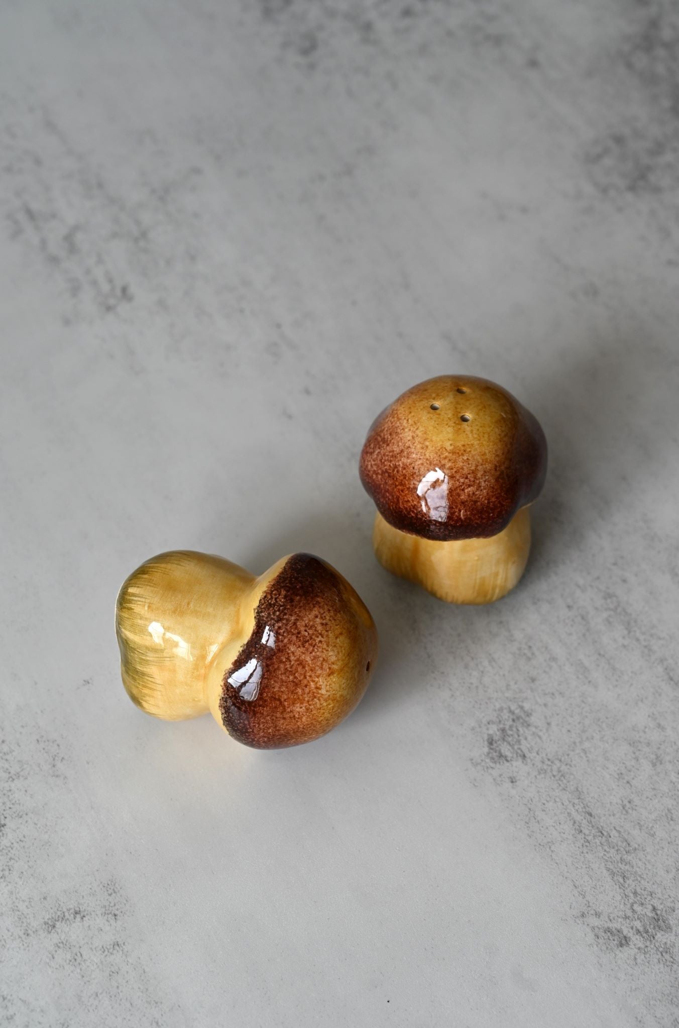 Hand-painted Mushroom Salt and Pepper Set