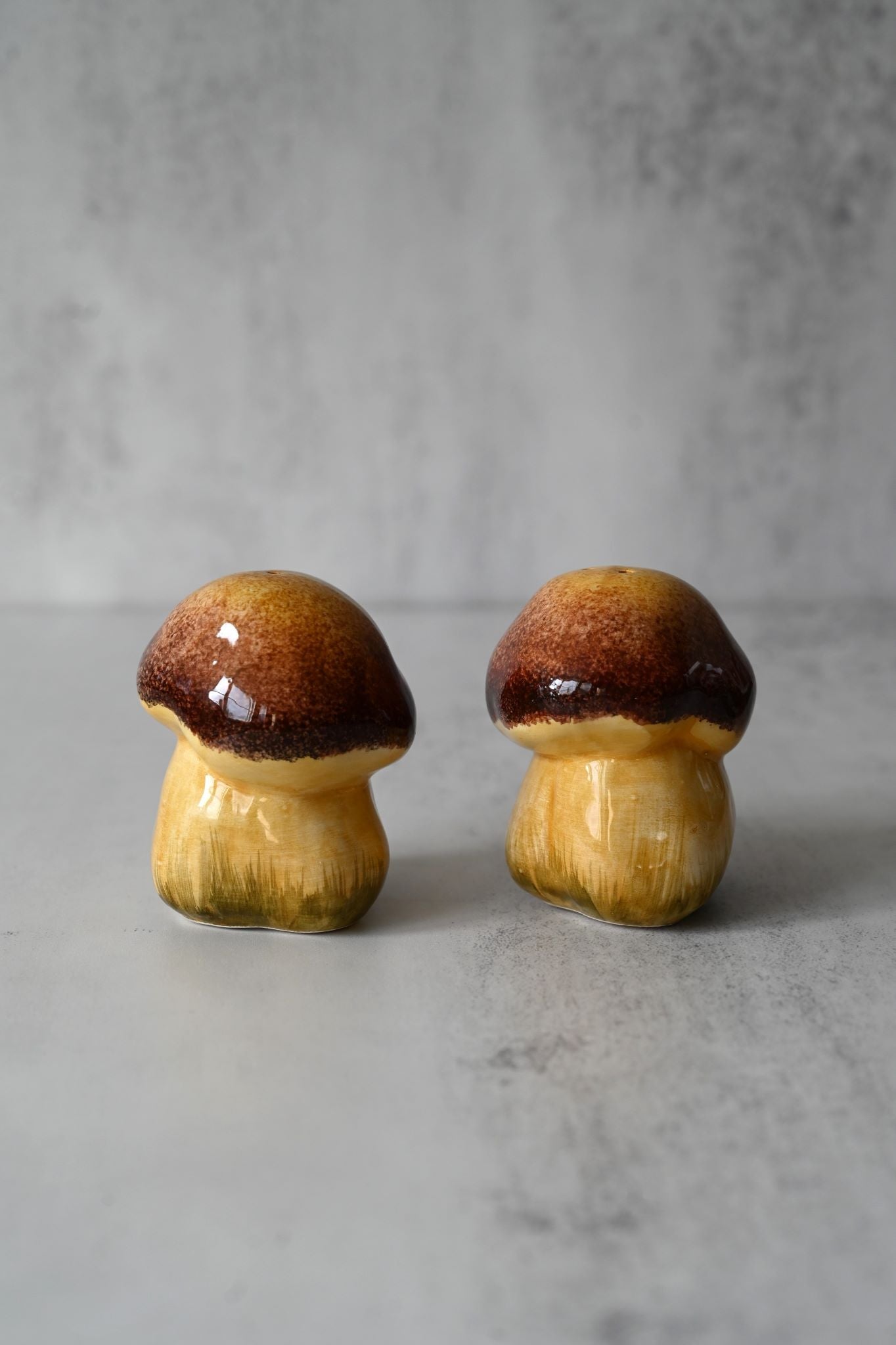 Hand-painted Mushroom Salt and Pepper Set