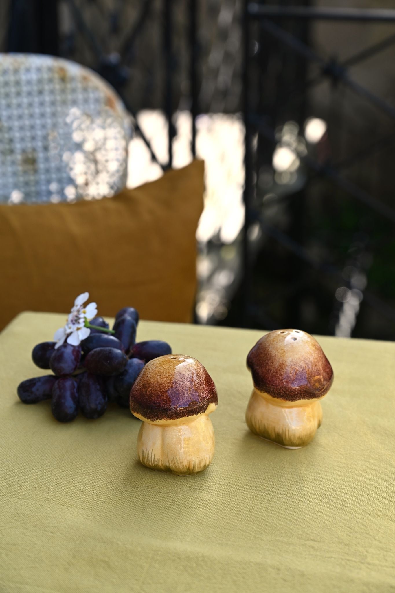 Hand-painted Mushroom Salt and Pepper Set