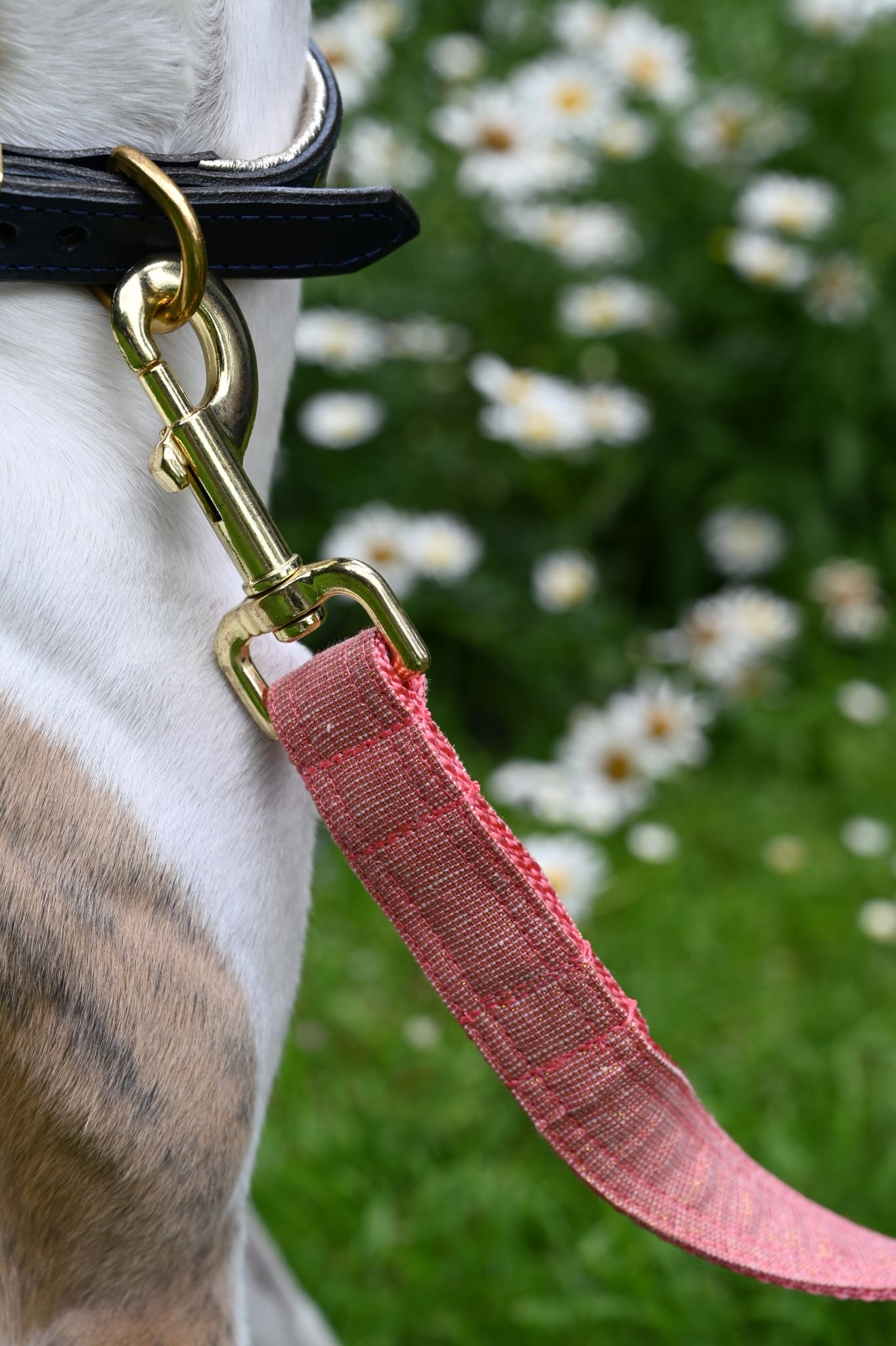 Strawberry Pink Tinsel Cotton Dog Lead