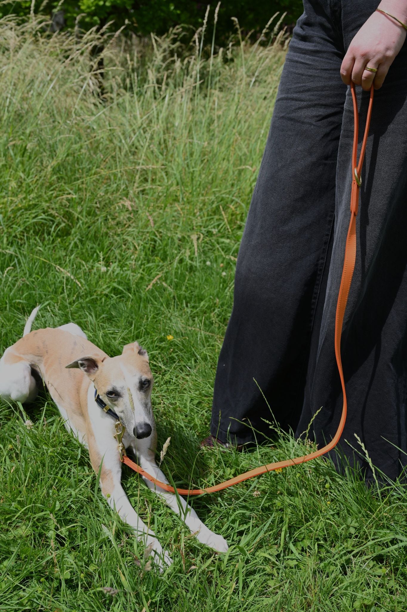 Traffic Cone Orange Lish Leather Dog Lead