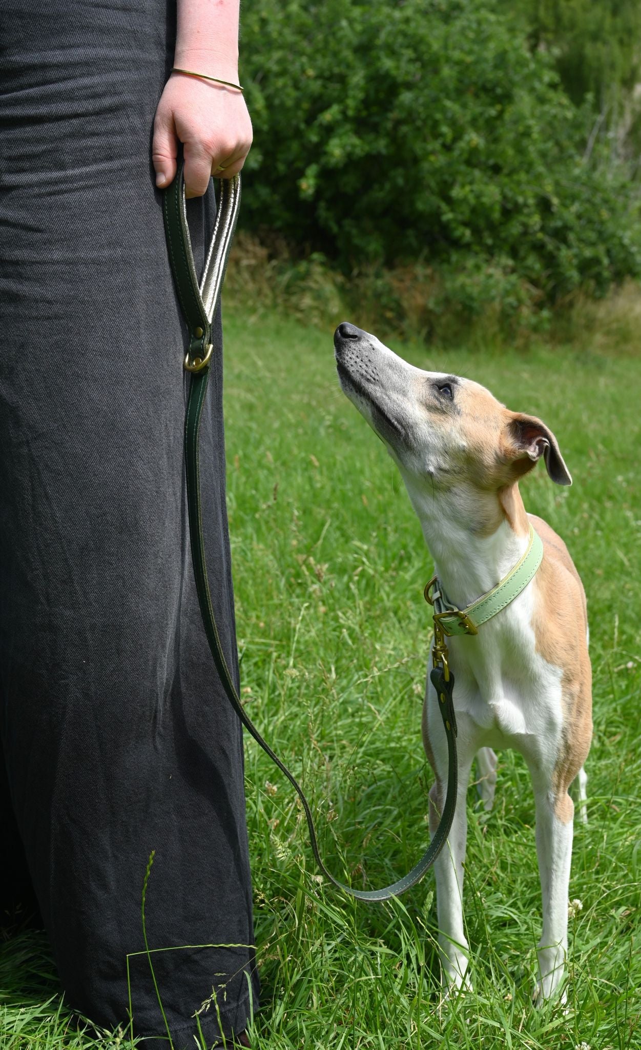 Luxury Padded Leather Leads