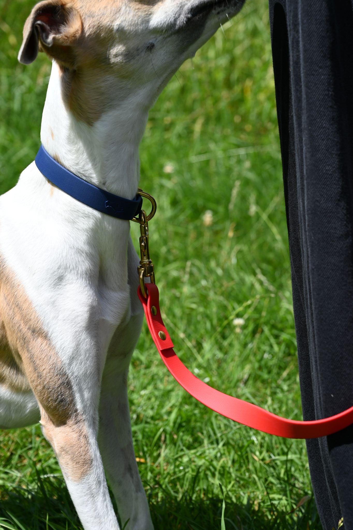All Weather Adjustable Leads