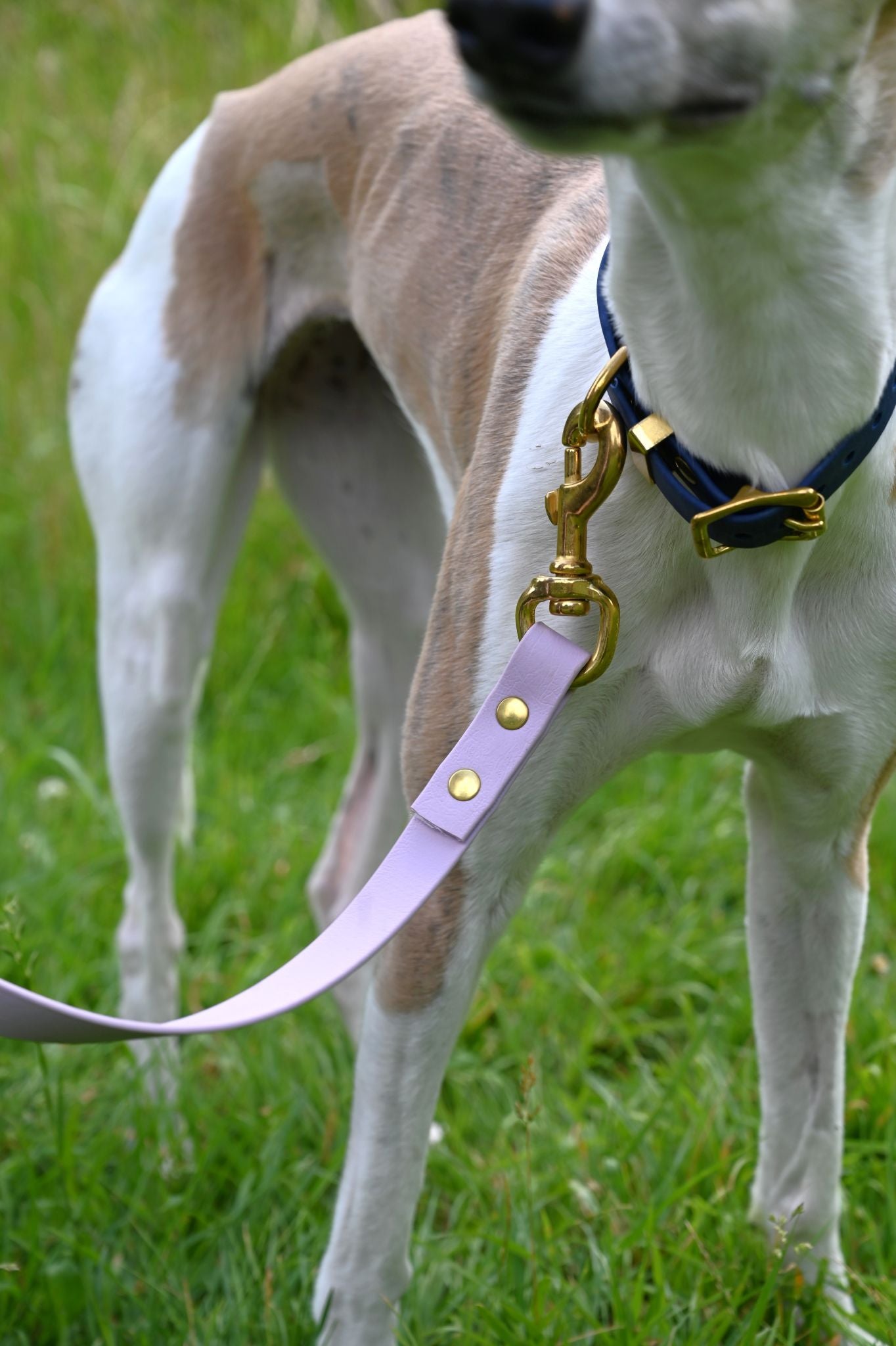 All Weather Adjustable Leads