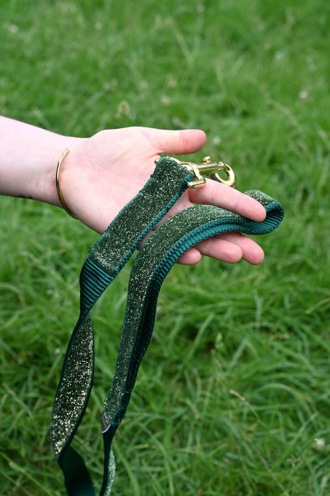 Ivy Green Glitter Velvet Dog Lead