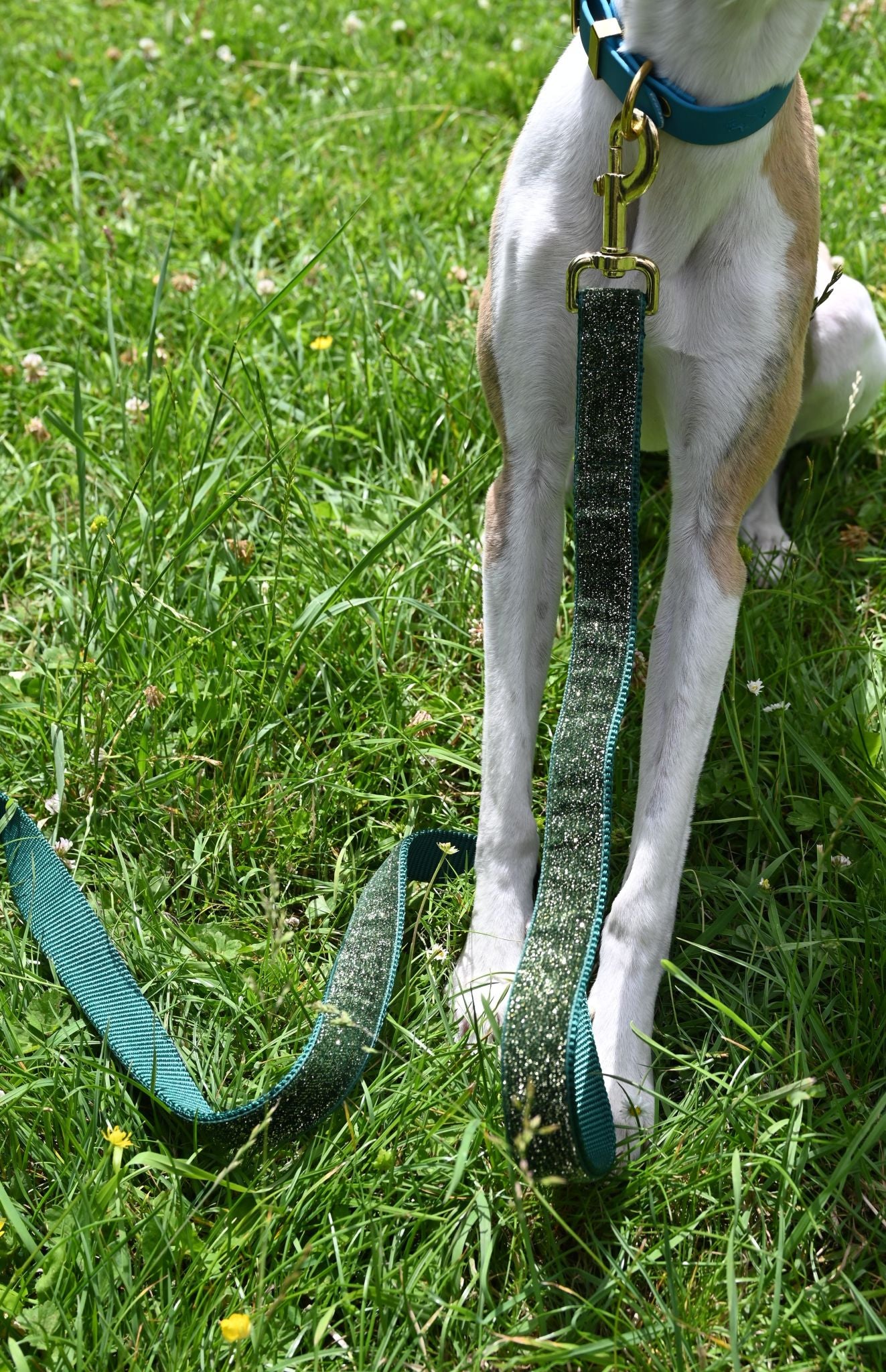 Ivy Green Glitter Velvet Dog Lead