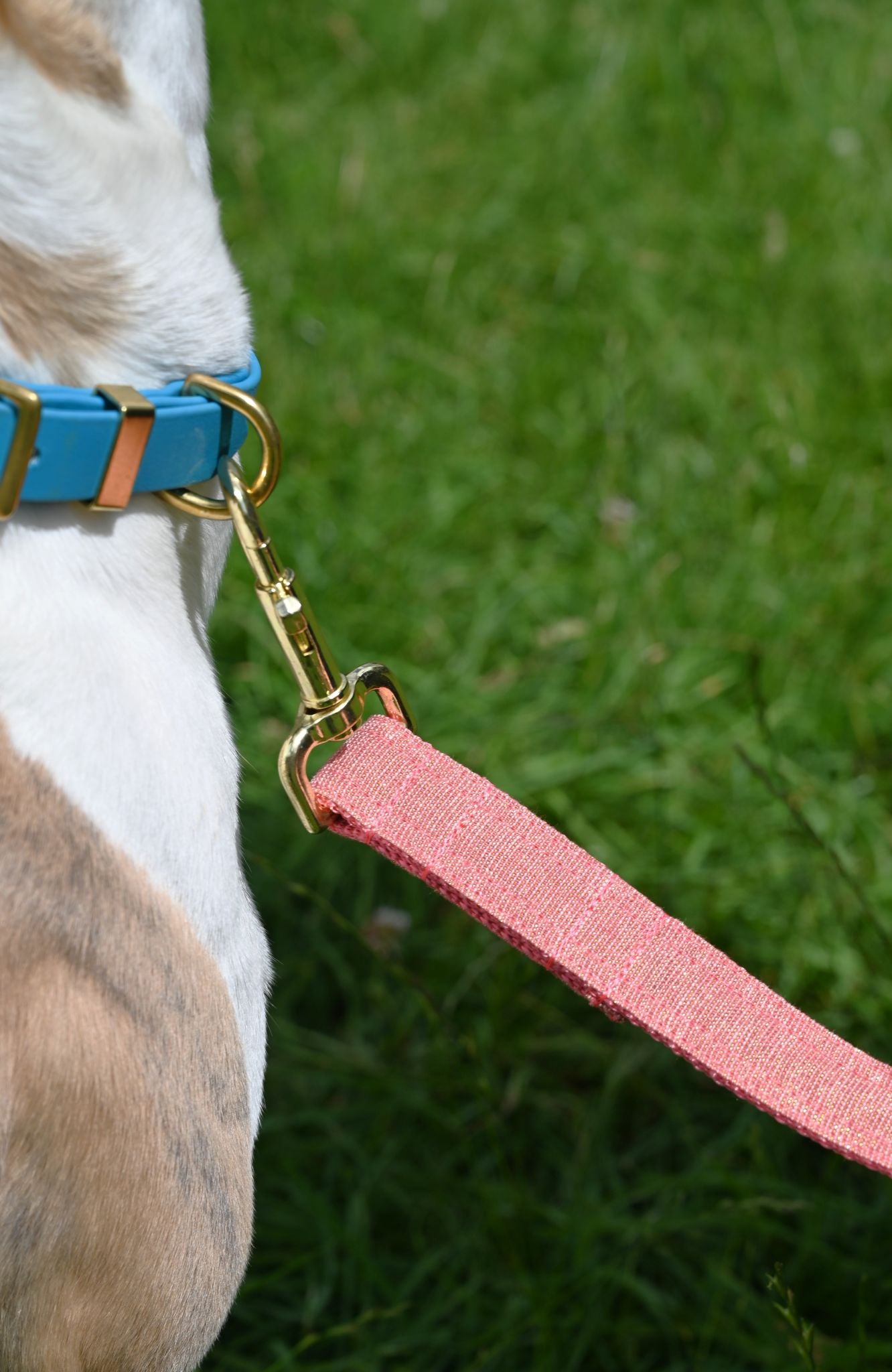 Strawberry Pink Tinsel Cotton Dog Lead
