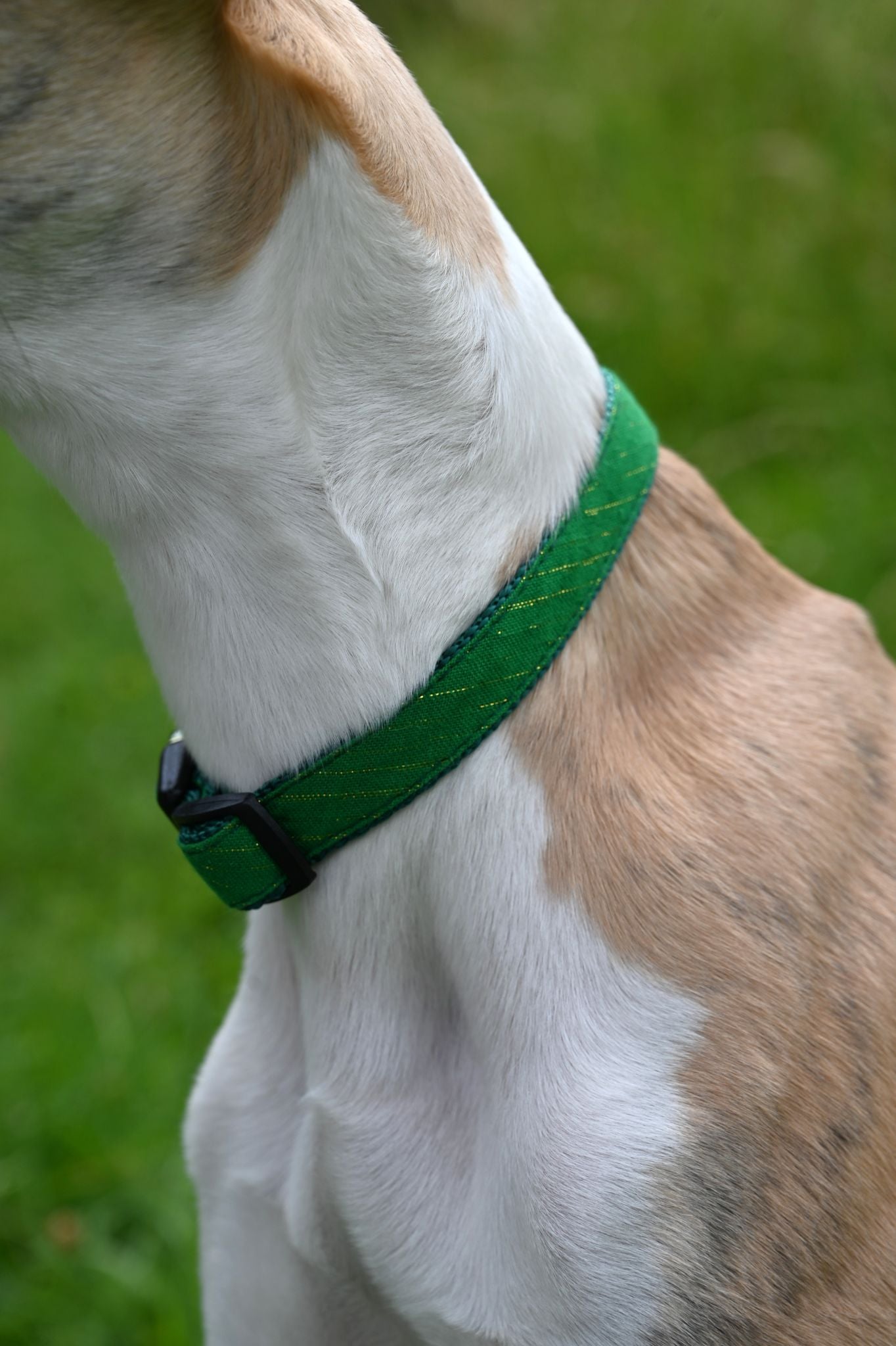 Small Ivy Green Tinsel Cotton Dog Collar