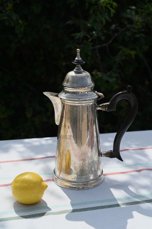 Vintage Victorian Water Pot