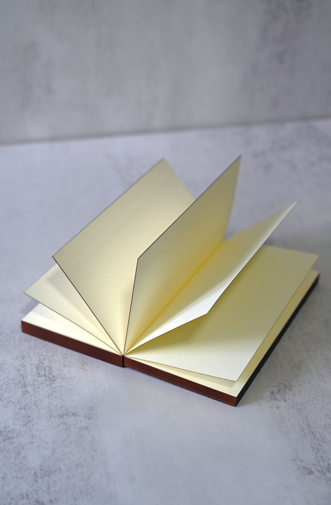 Black Coloured Edge Sketching Block