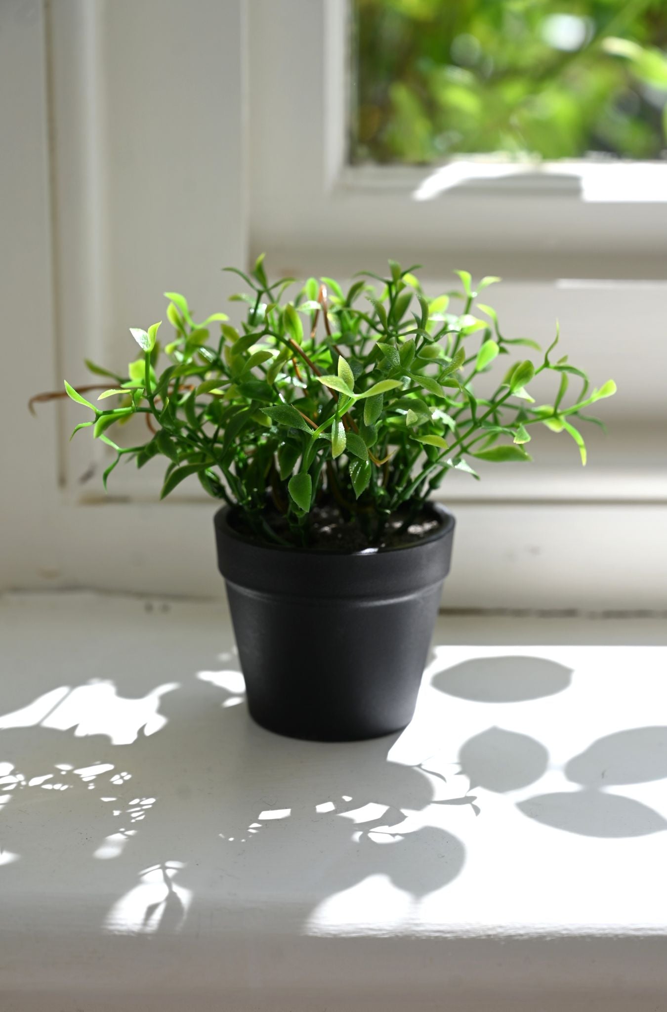 Tiny Faux Hoya Plant