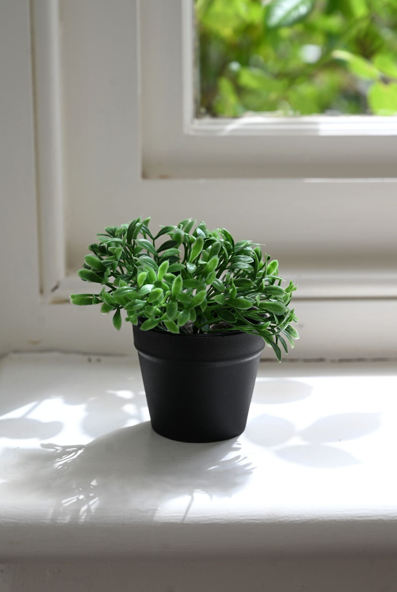 Tiny Faux Crassula Plant