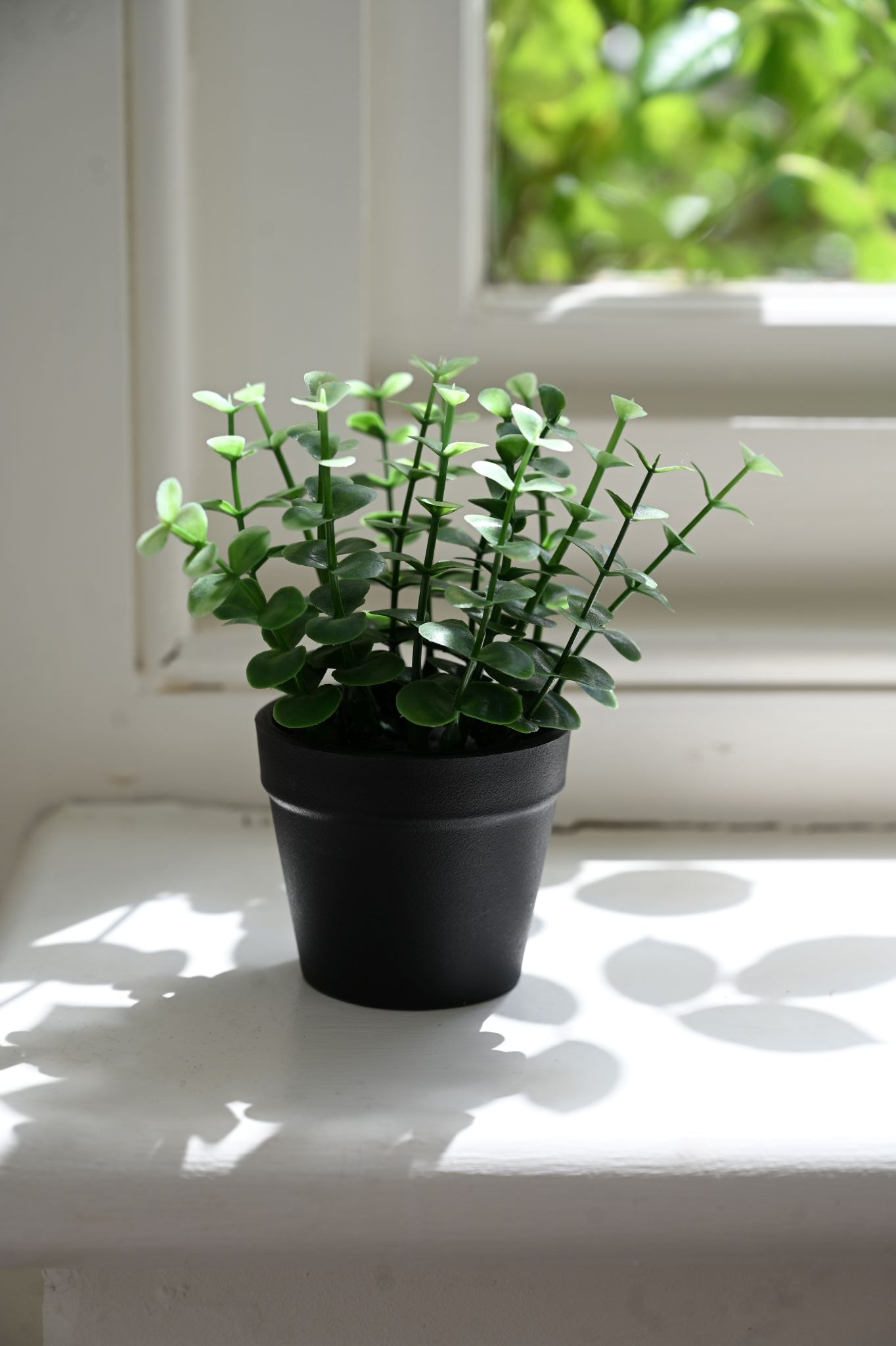 Tiny Faux Peperomia Plant