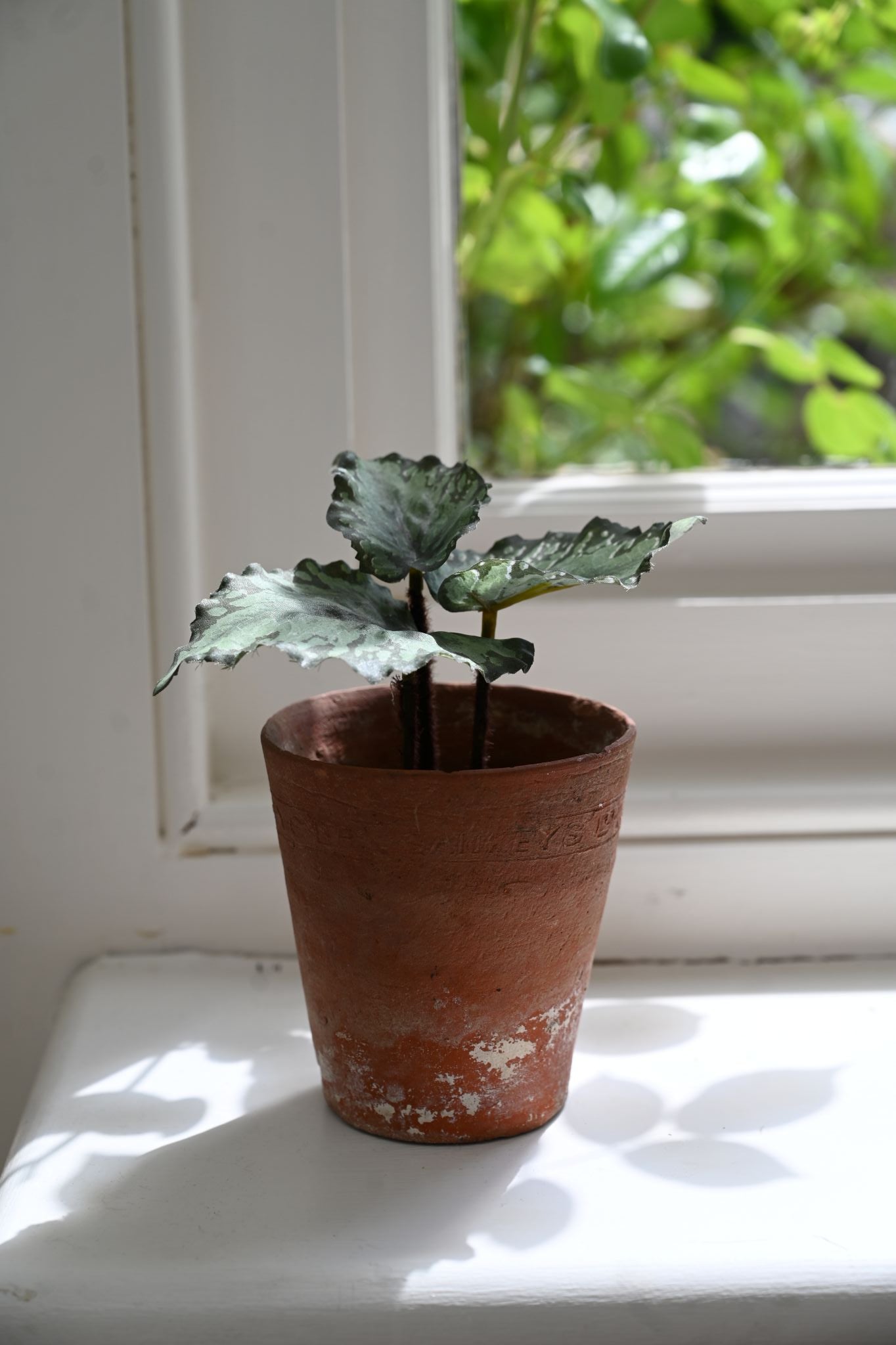 Faux Green Begonia Plant