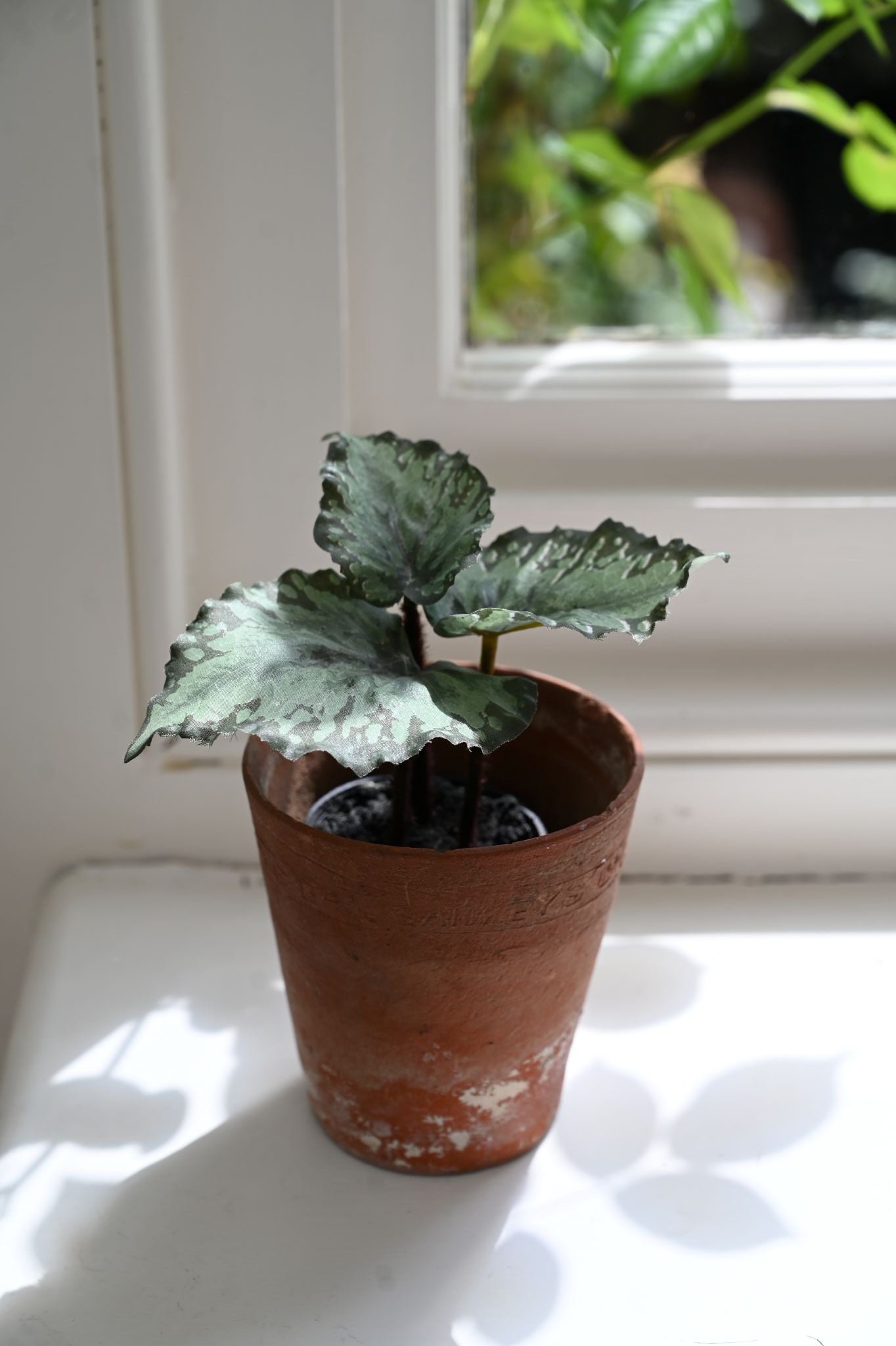 Faux Green Begonia Plant