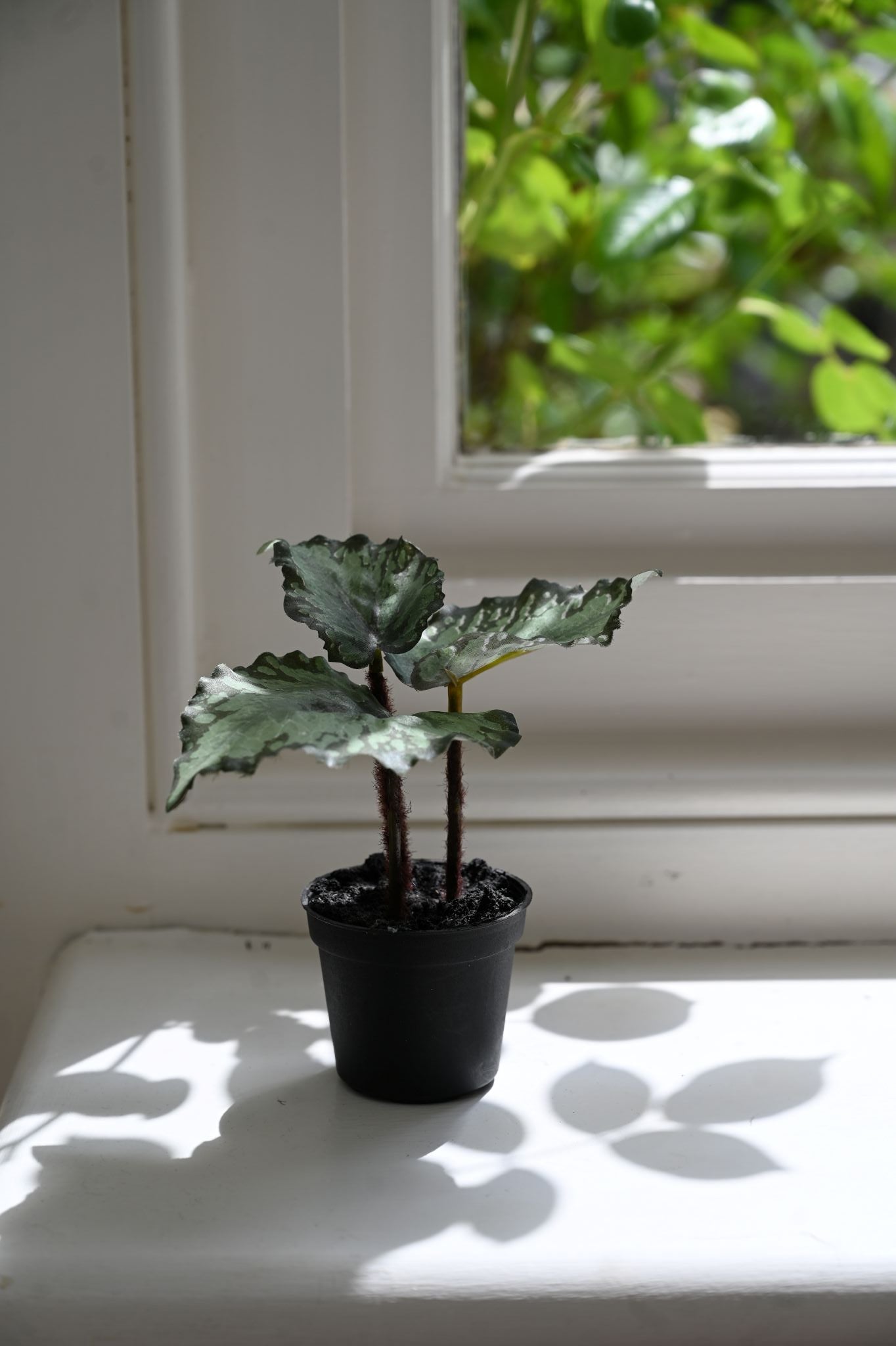 Faux Green Begonia Plant