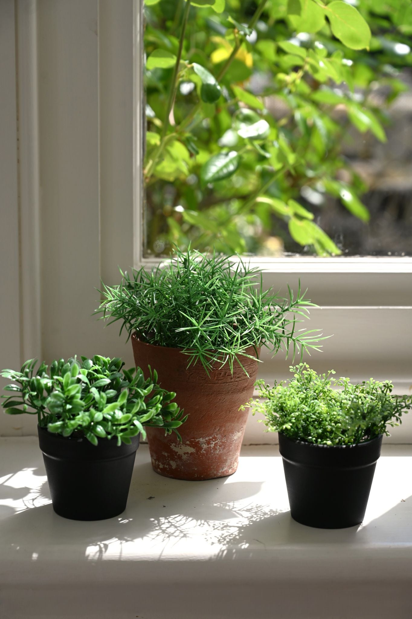 Tiny Faux Asparagus Plant