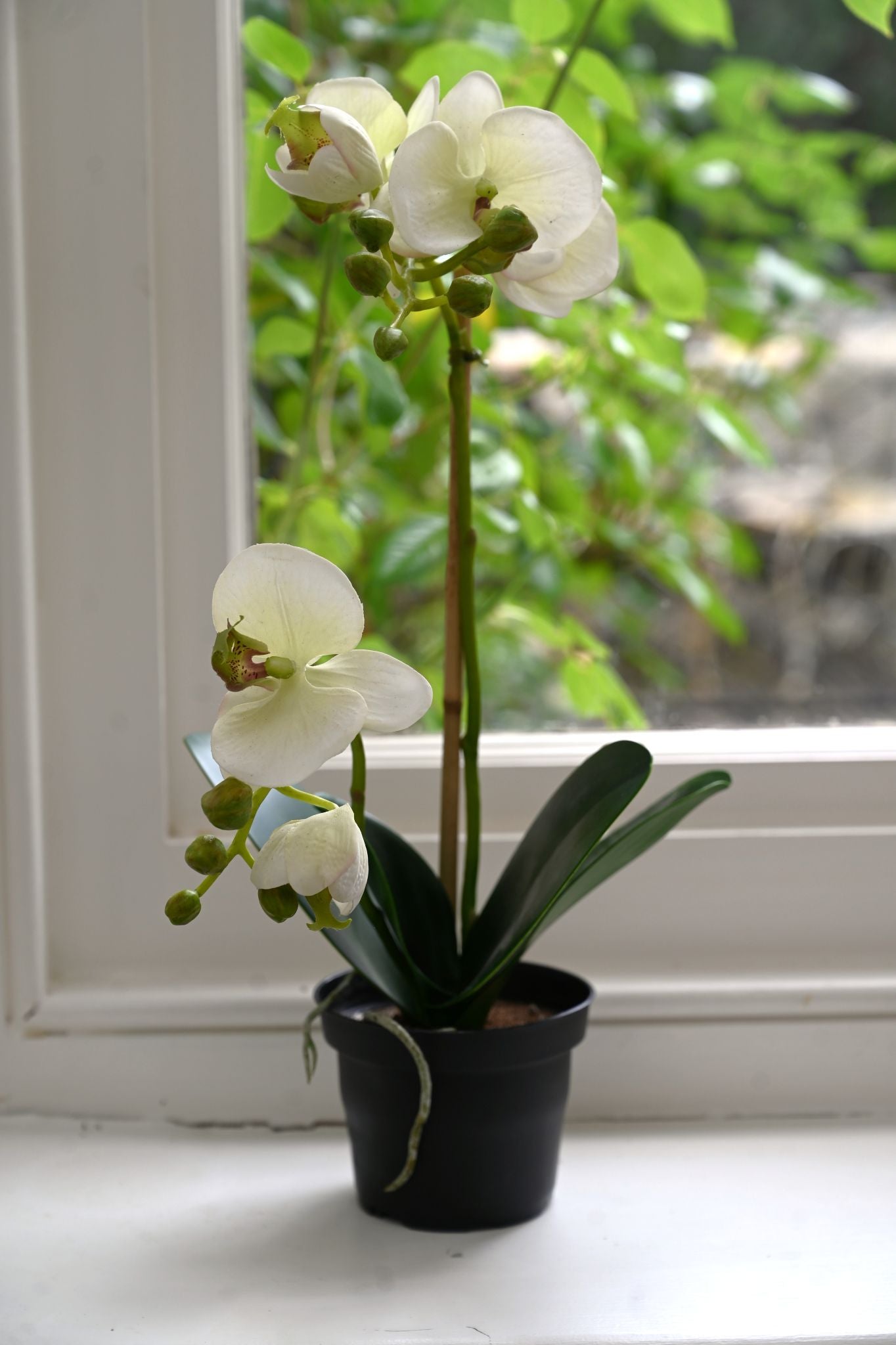 Large Faux White Moth Orchid Plant