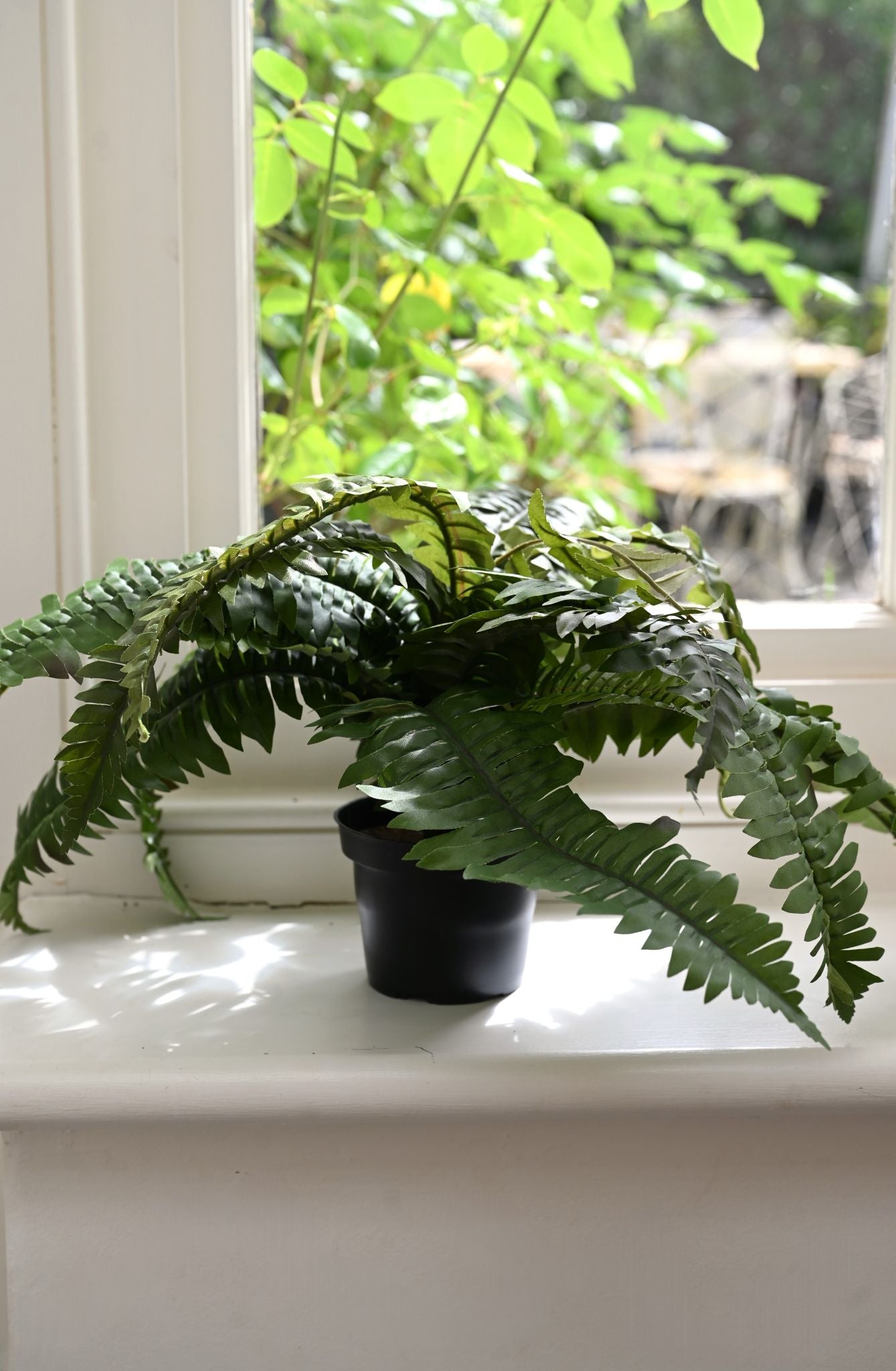 Boston Fern Faux Plant