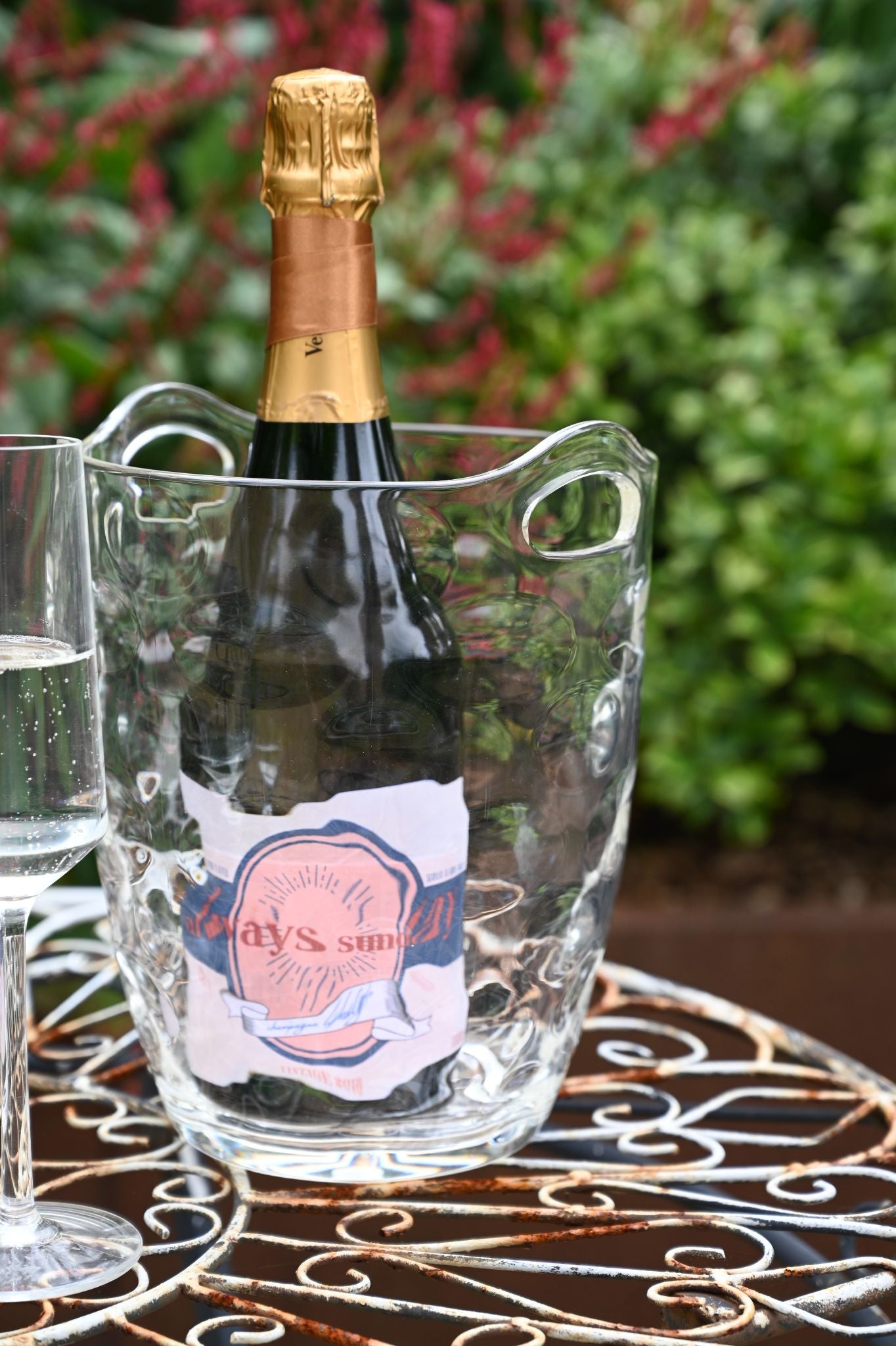 Clear Bubbly Picnic Ice Bucket
