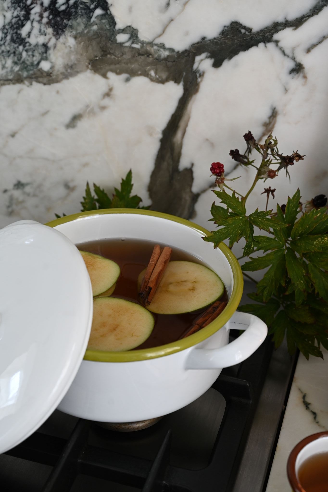 Always Sunday Enamel Cooking Pot