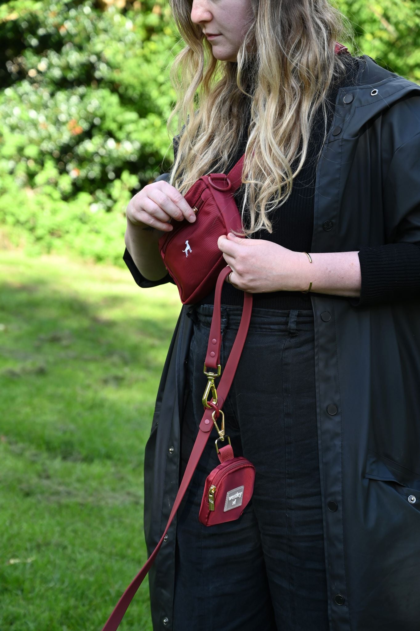 Pochette de promenade pour chien 3 en 1