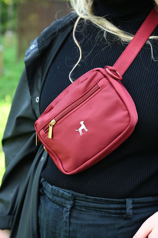Pochette de promenade pour chien 3 en 1