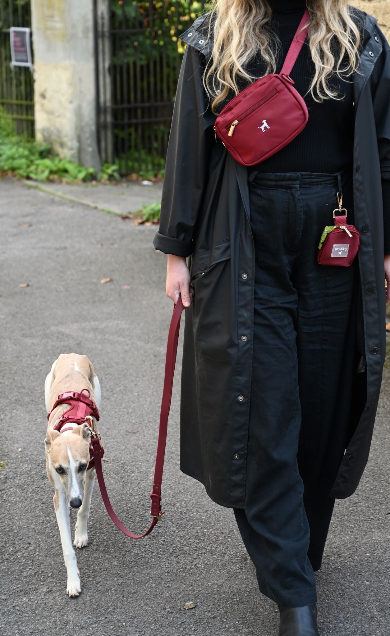 Doppelseitige Clip-On-Hundeleine