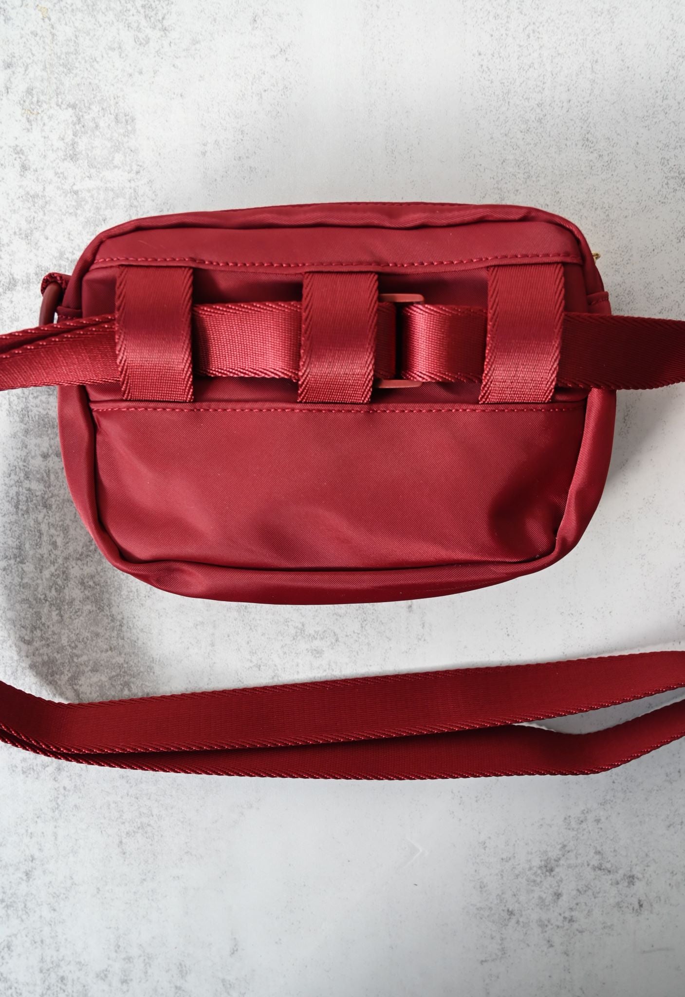 Pochette de promenade pour chien 3 en 1