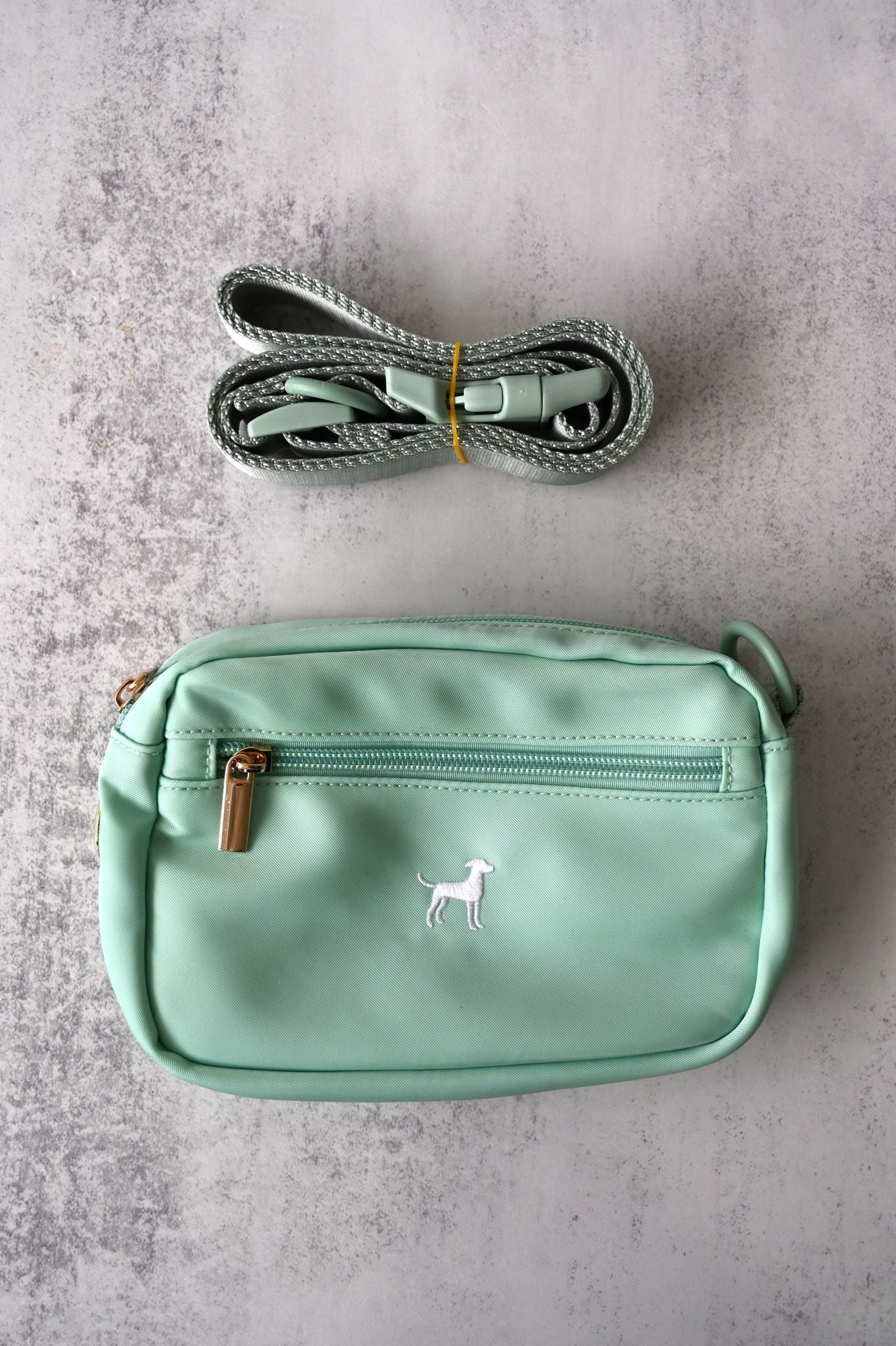 Pochette de promenade pour chien 3 en 1