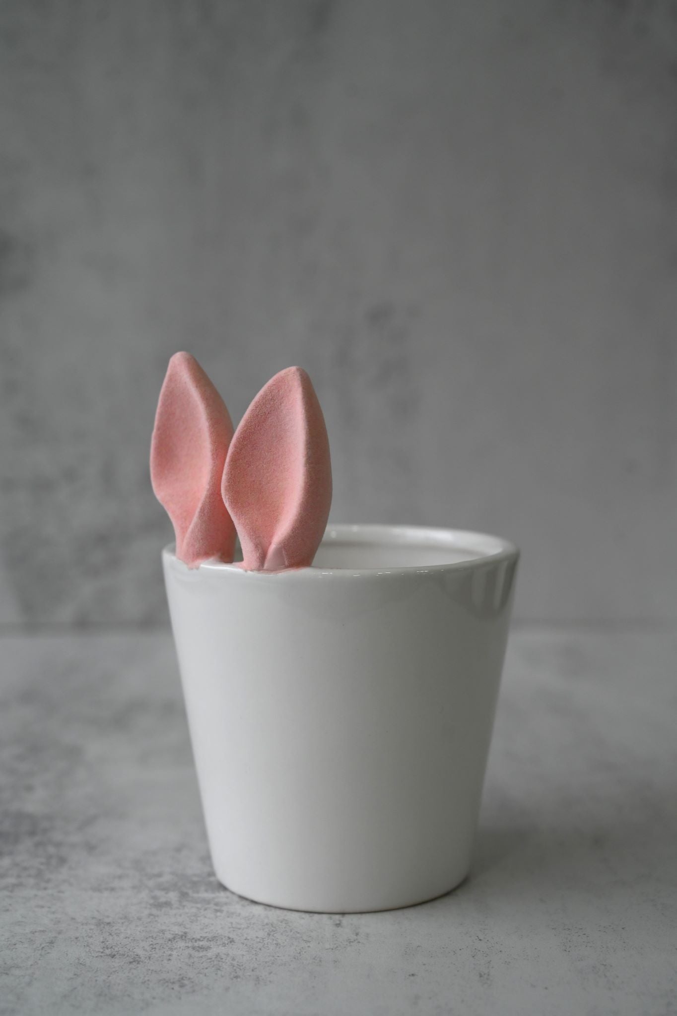Pink Bunny Ears Ceramic Plant Pot