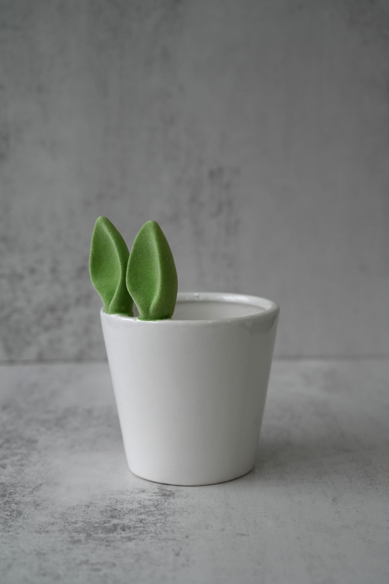 Green Bunny Ears Ceramic Plant Pot