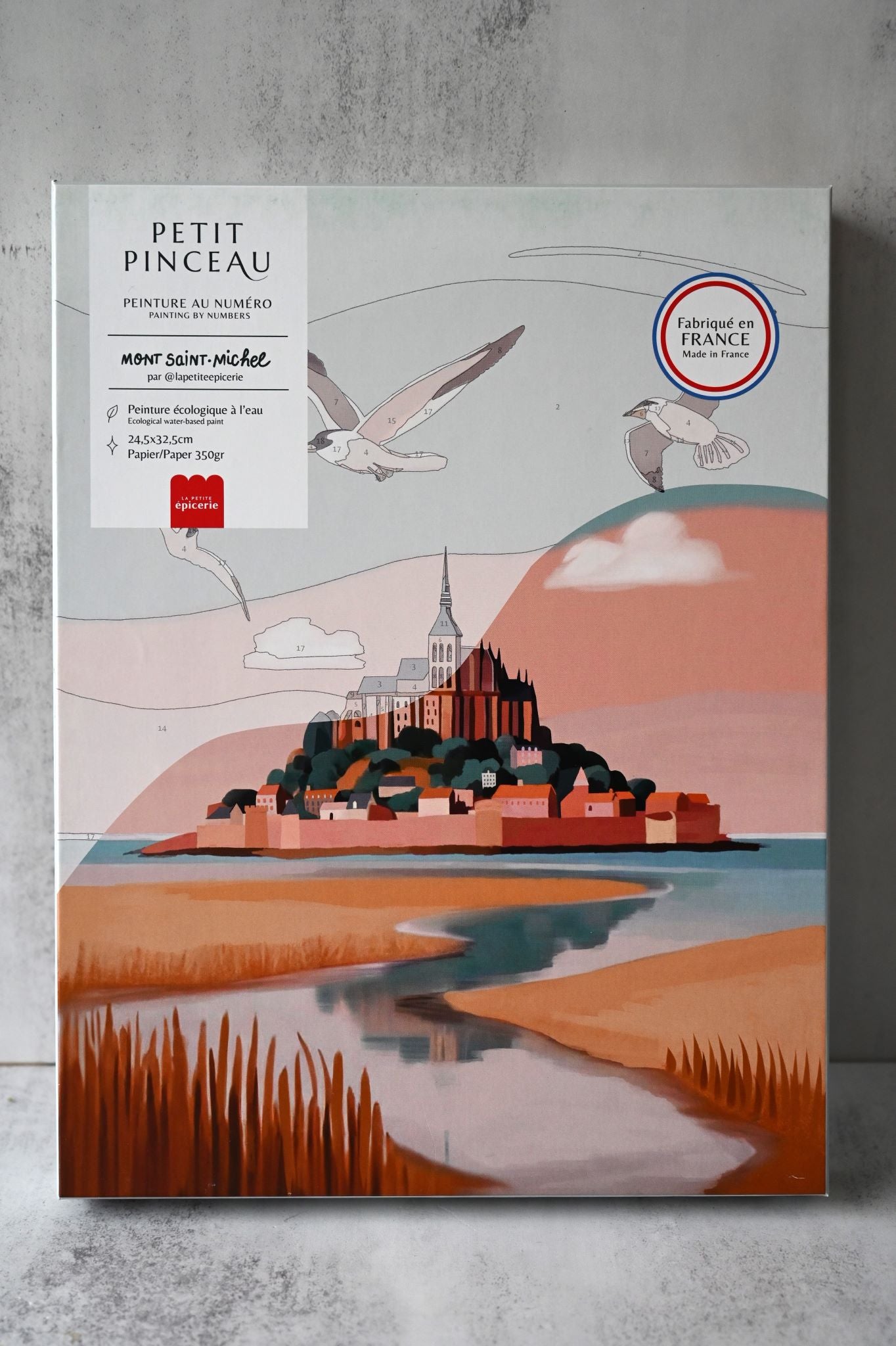 Mont Saint-Michel Paint by Numbers Kit