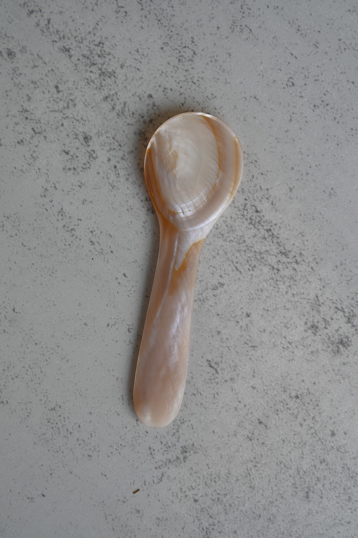 Brown Seashell Spoons