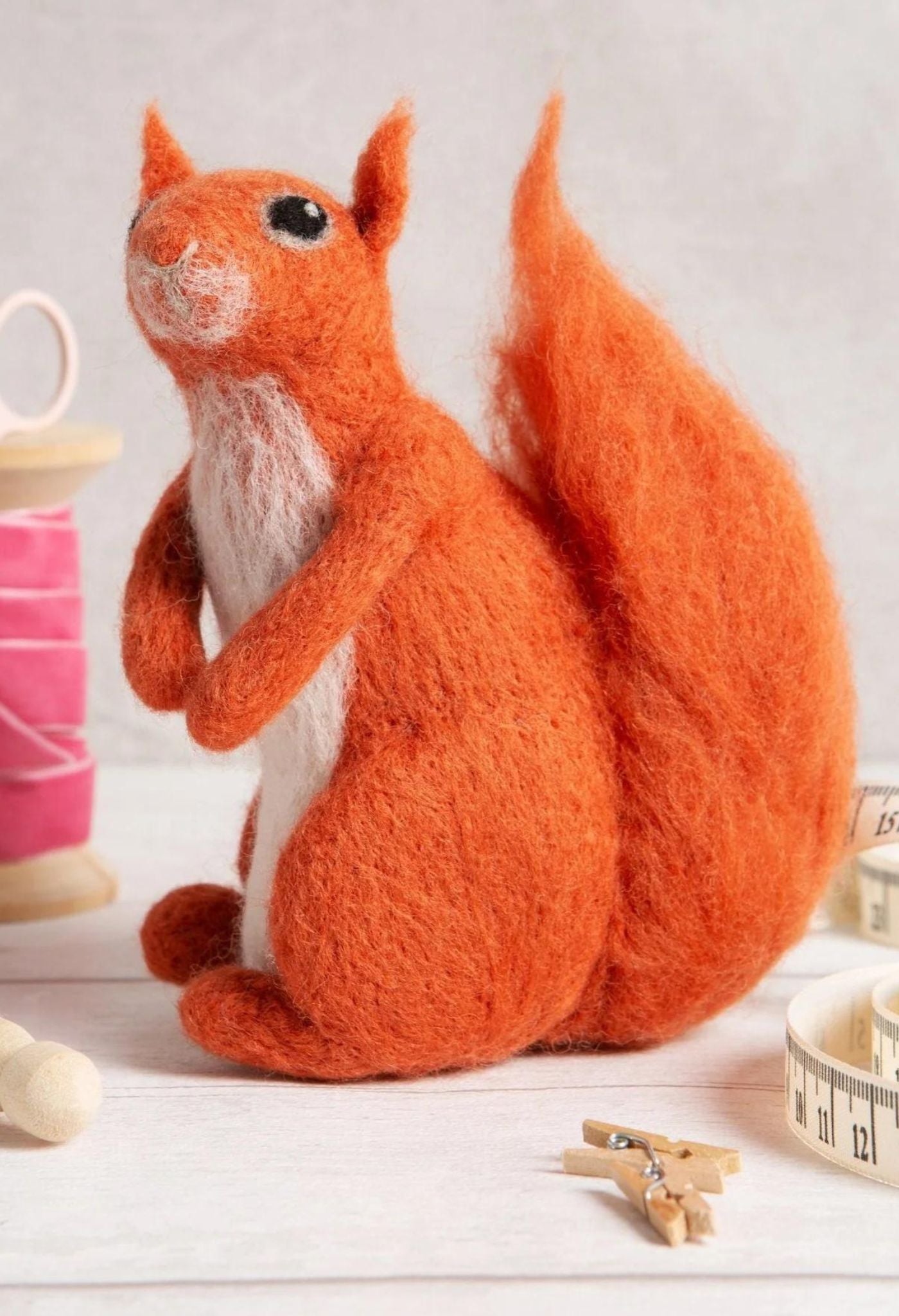 Rotes Eichhörnchen Nadelfilzset