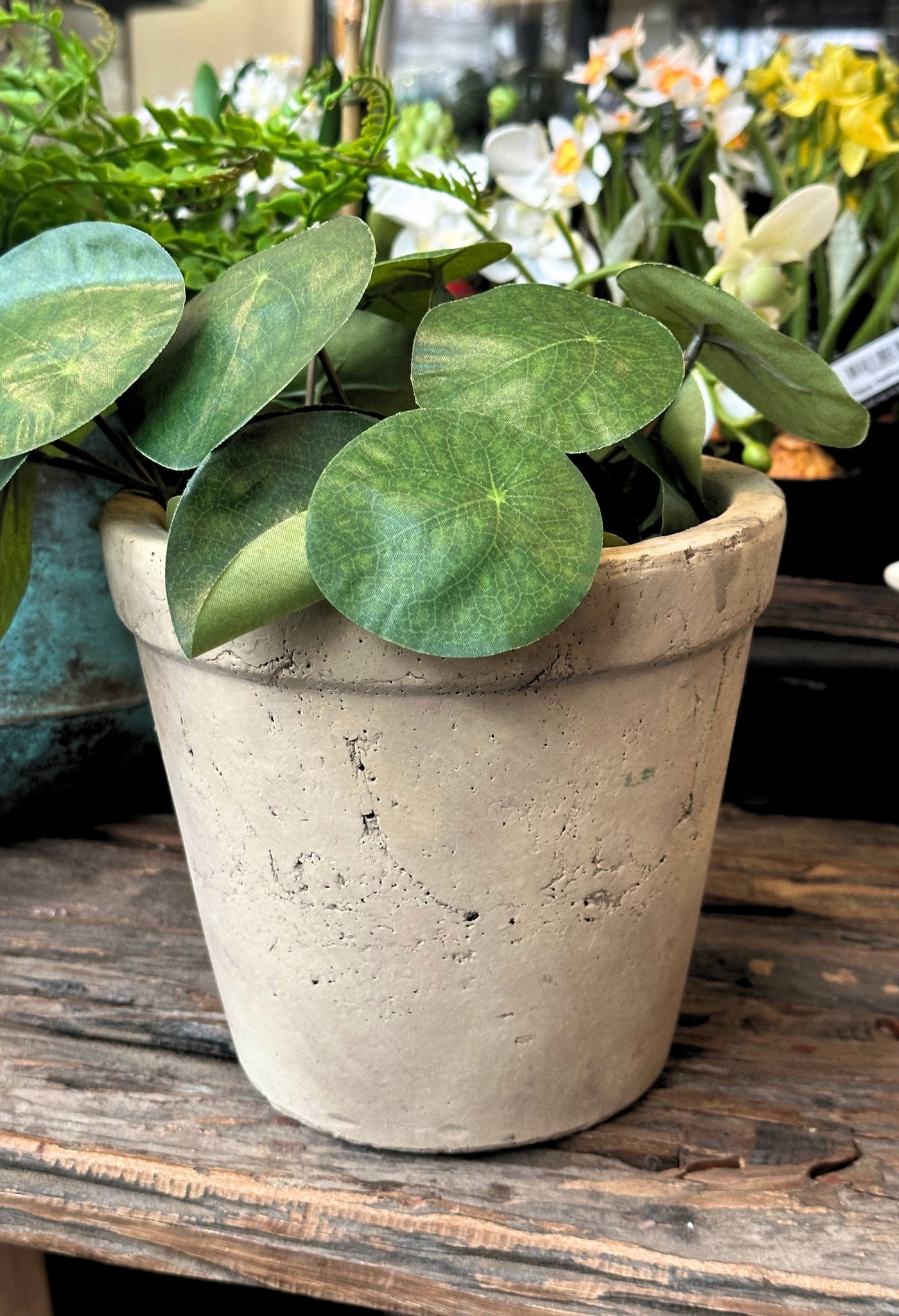 Beige Cracked Plant Pot