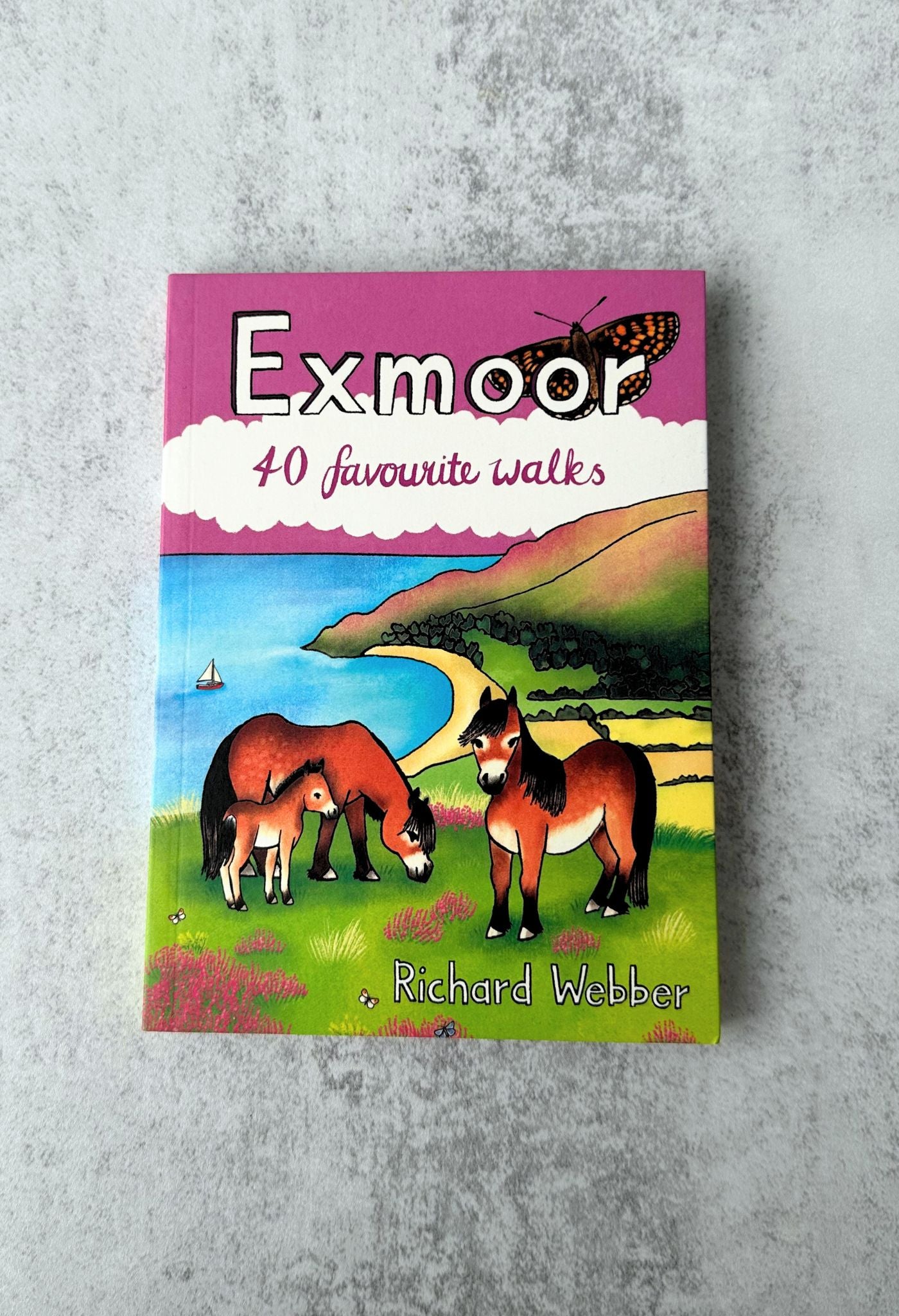 40 Walks in Exmoor Guide