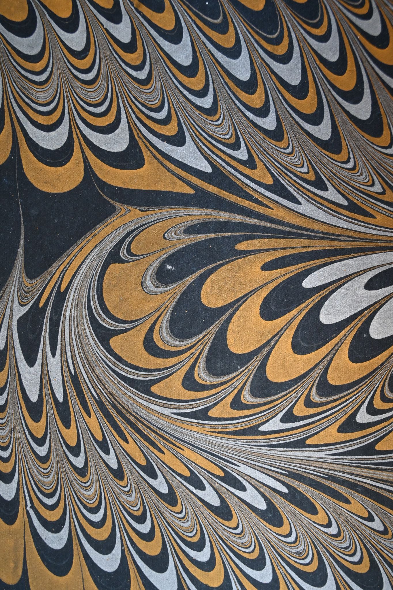 Black Peacock Swirl Gift Wrap